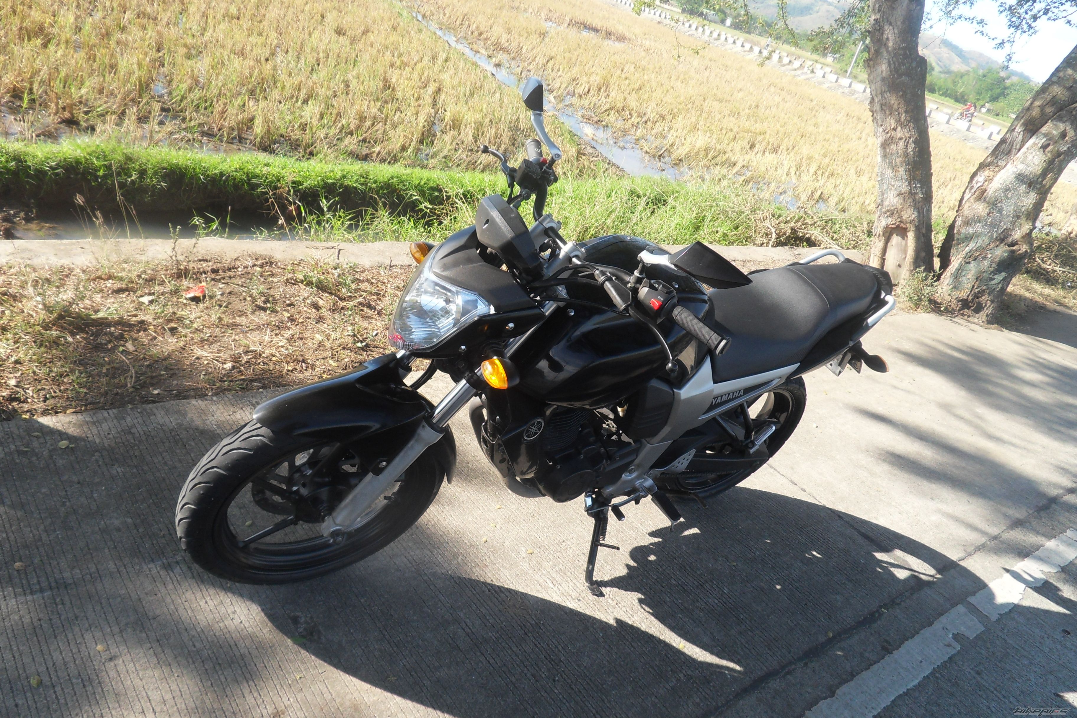 Photo 2497124