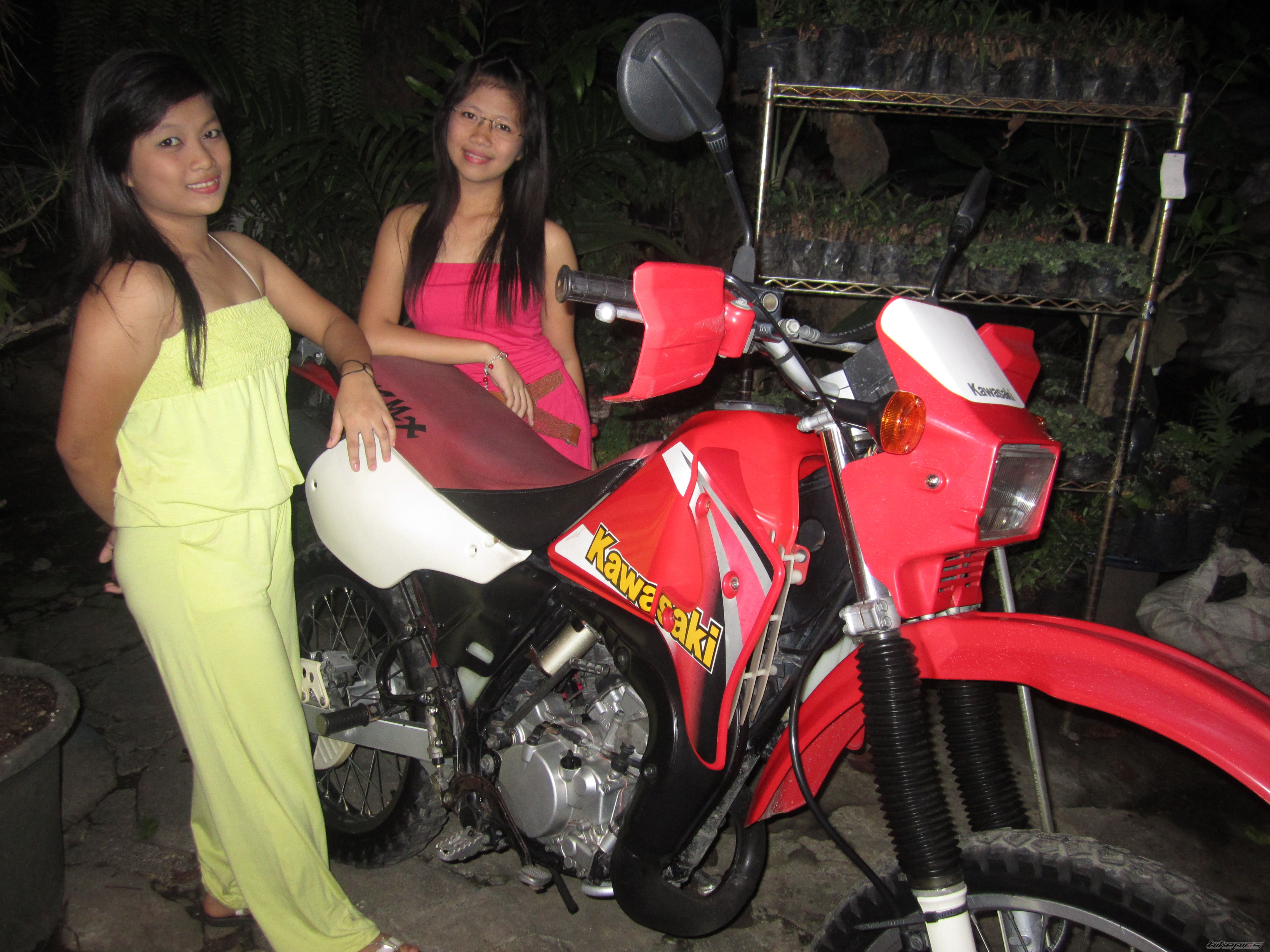 Photo 2497139