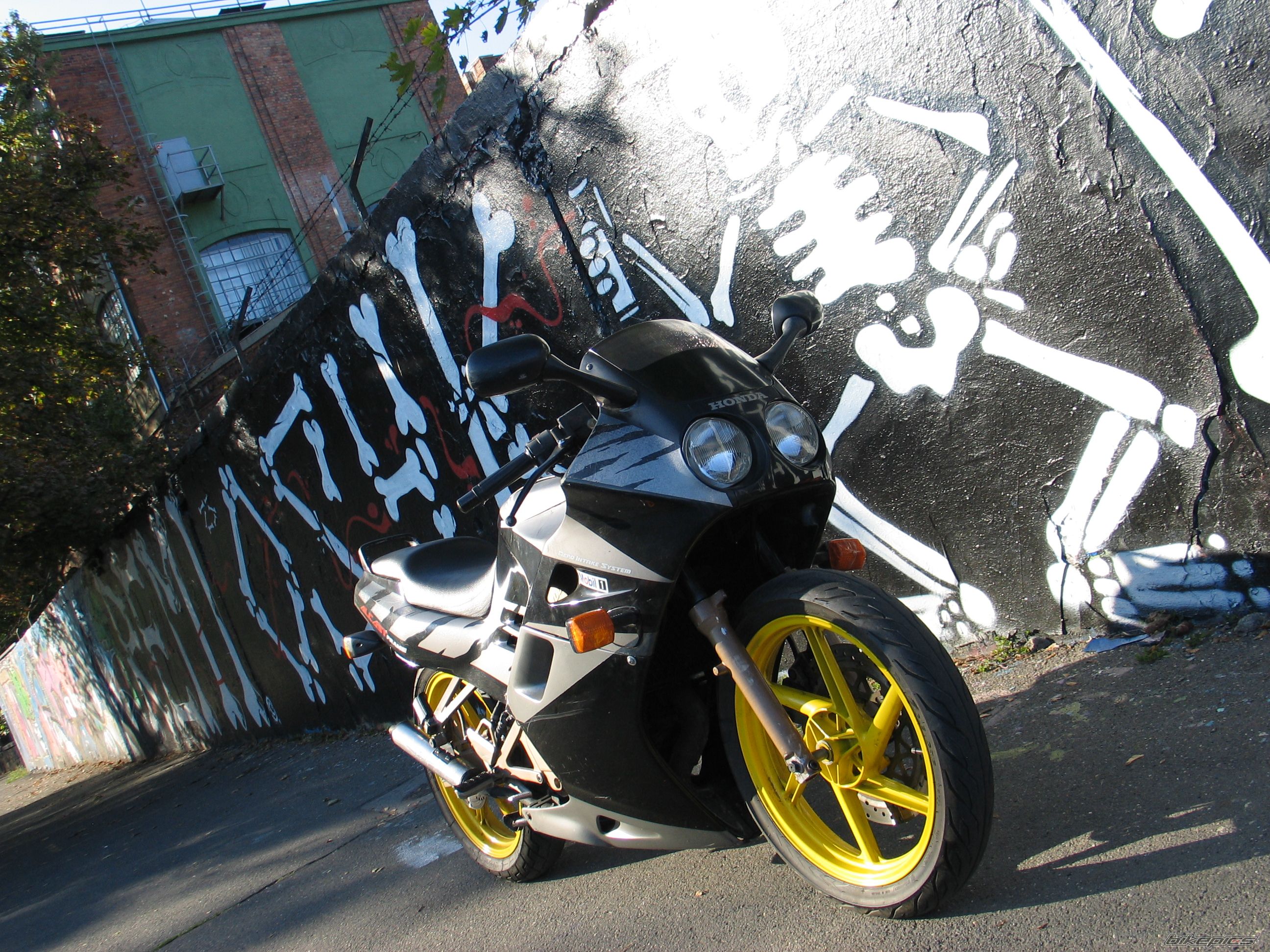 Photo 2497179