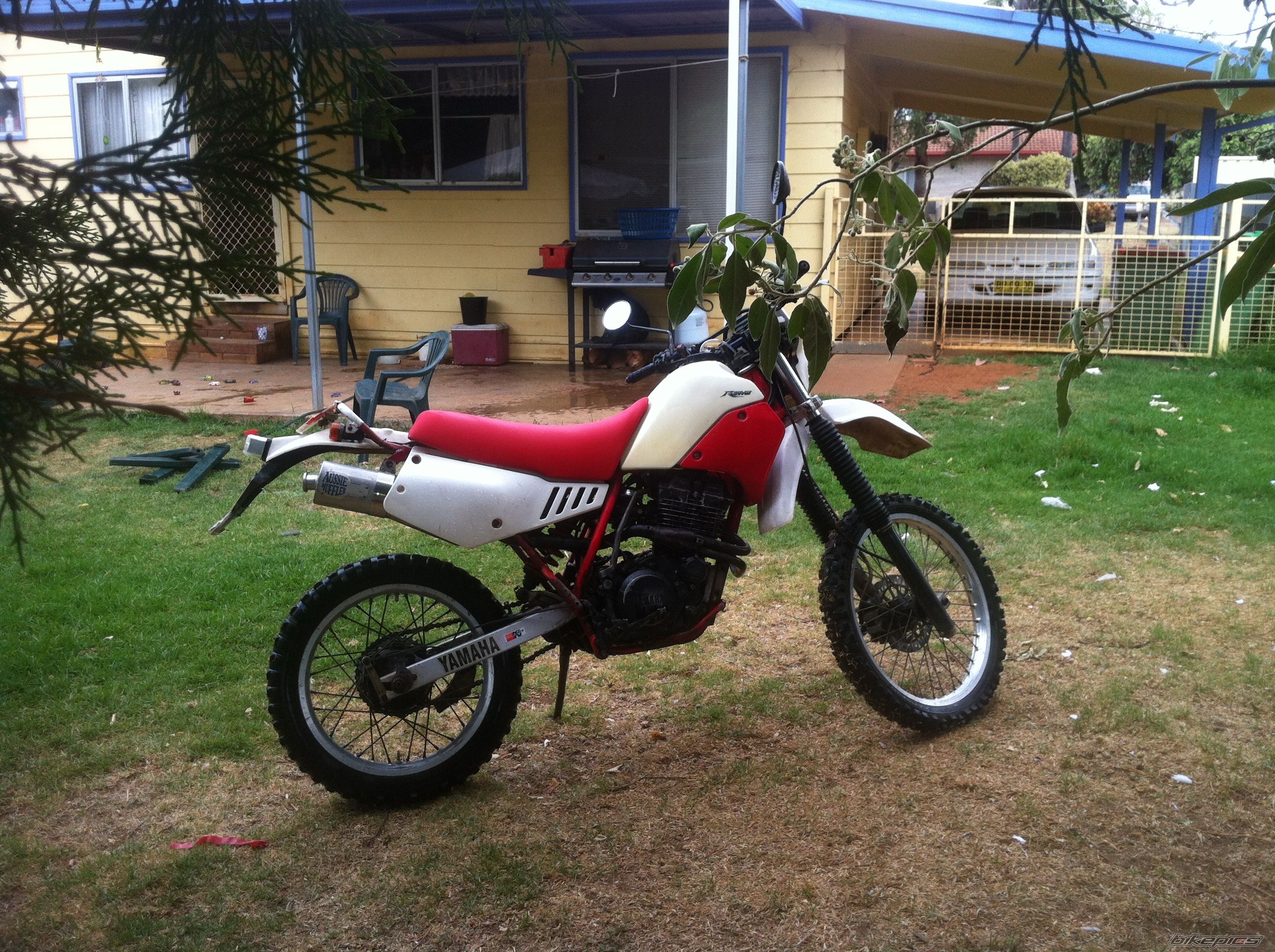 Photo 2497190