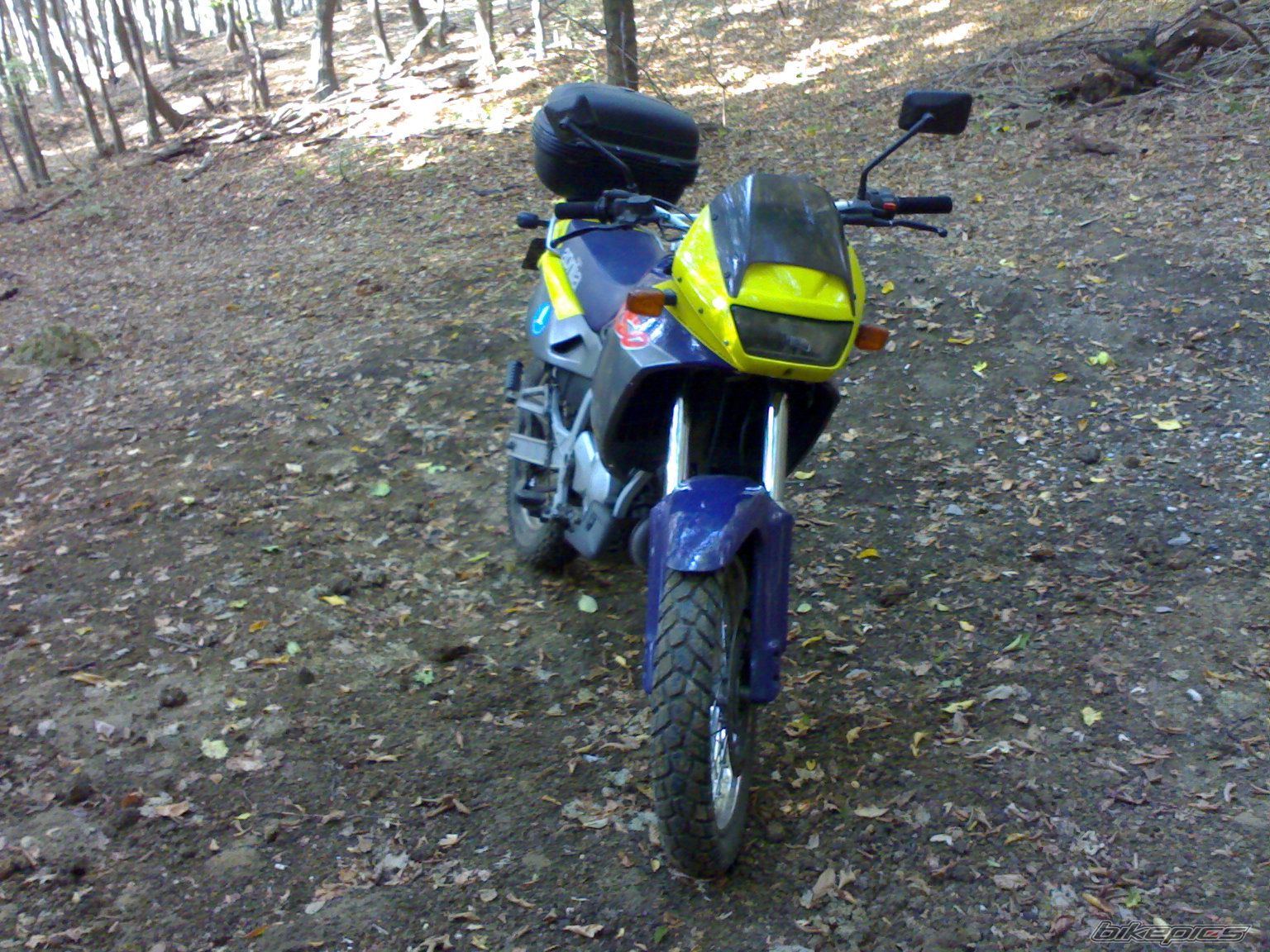 Photo 2497191