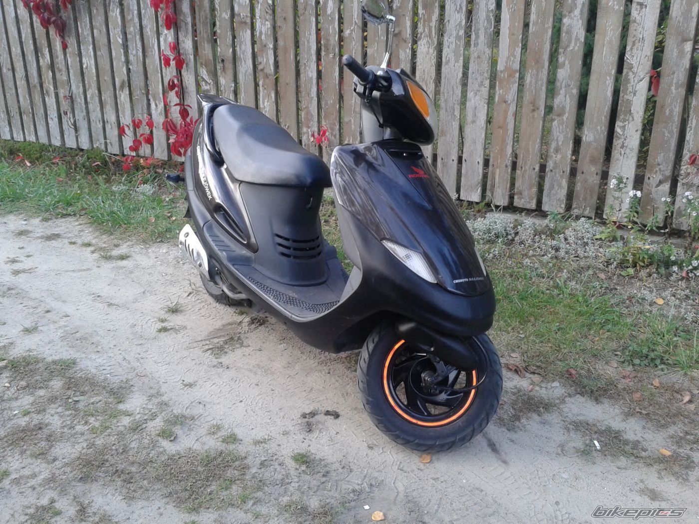 Photo 2497247