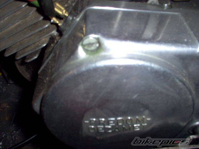 Photo 249727