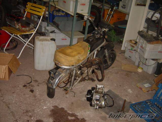 Photo 249737