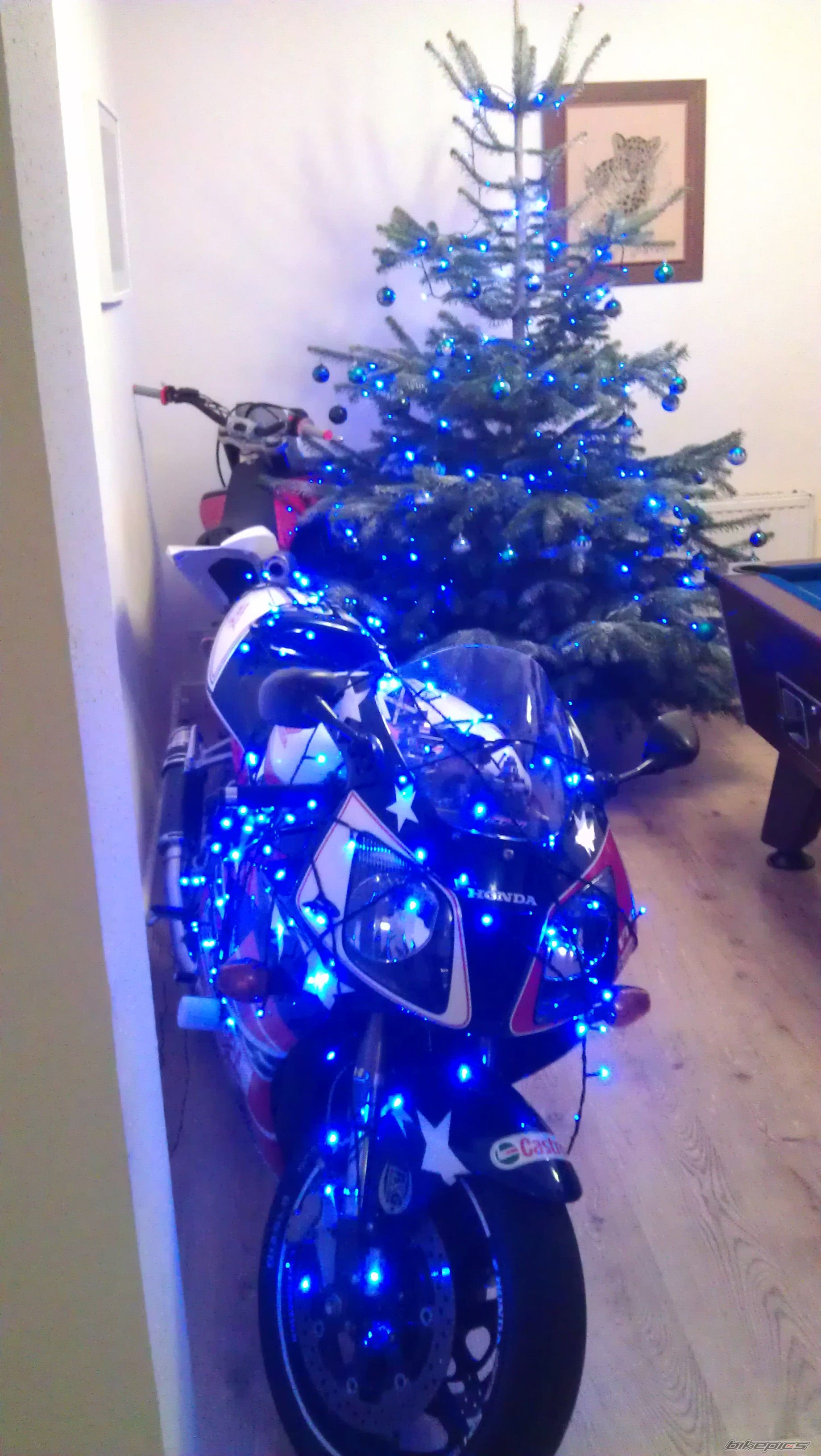 Photo 2497408