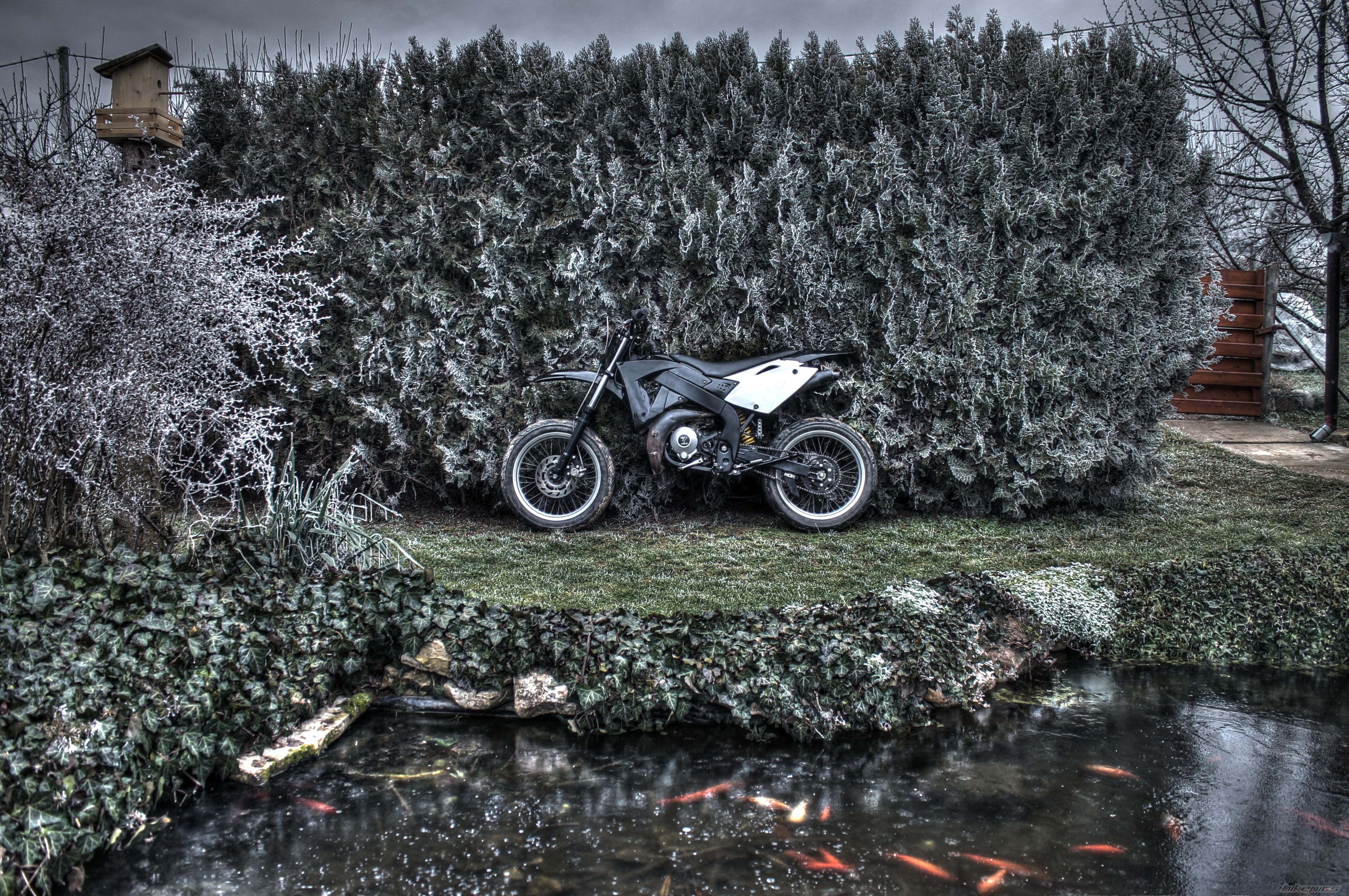 Photo 2497470