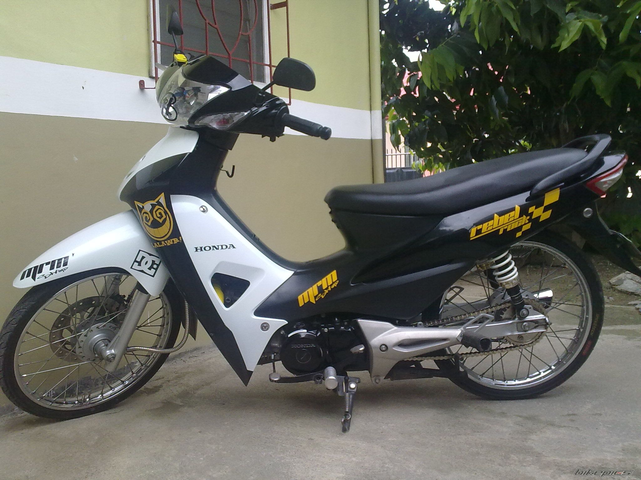 Photo 2497539