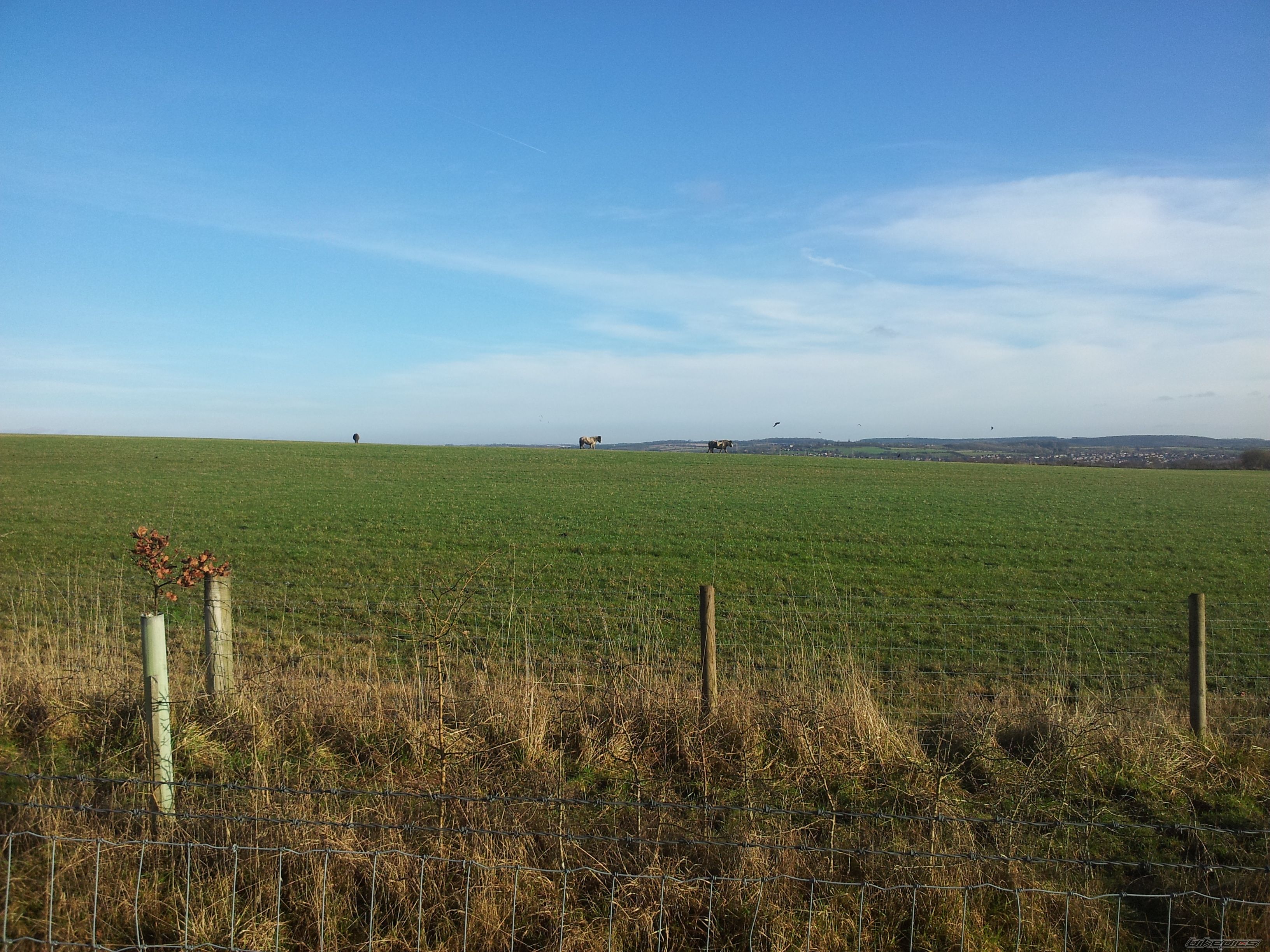 Photo 2497569
