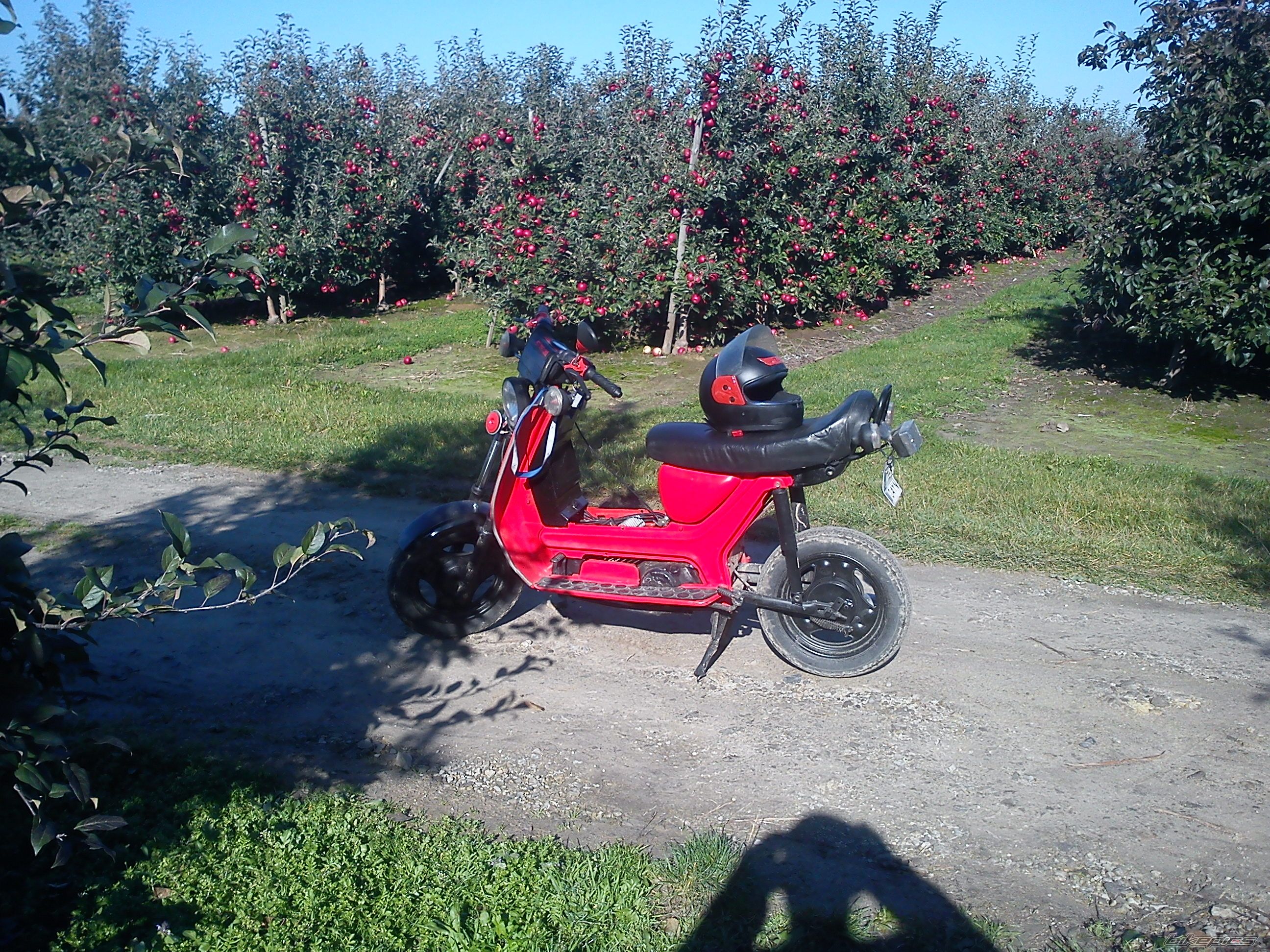 Bike Photo 2497586