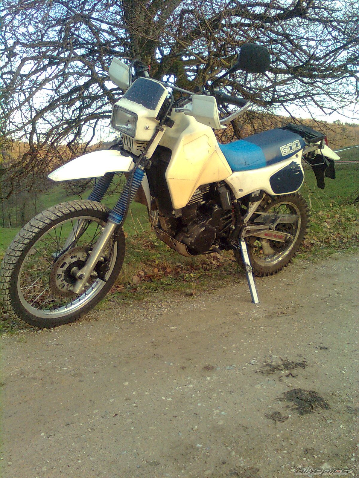 Bike Photo 2497803