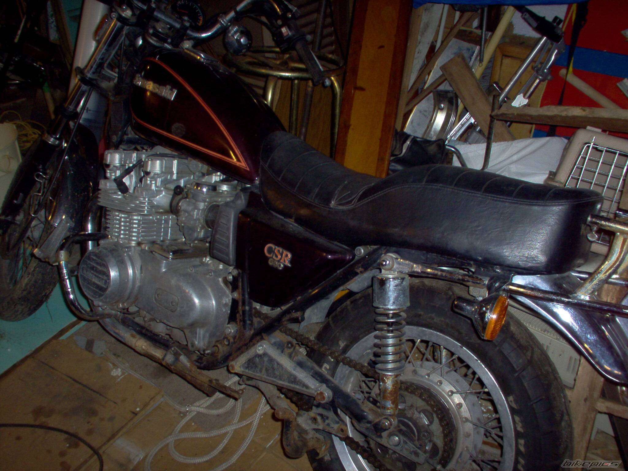 Photo 249785