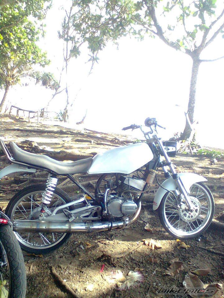 Photo 2497855