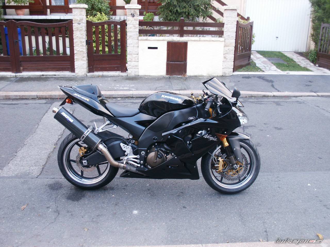Photo 249787