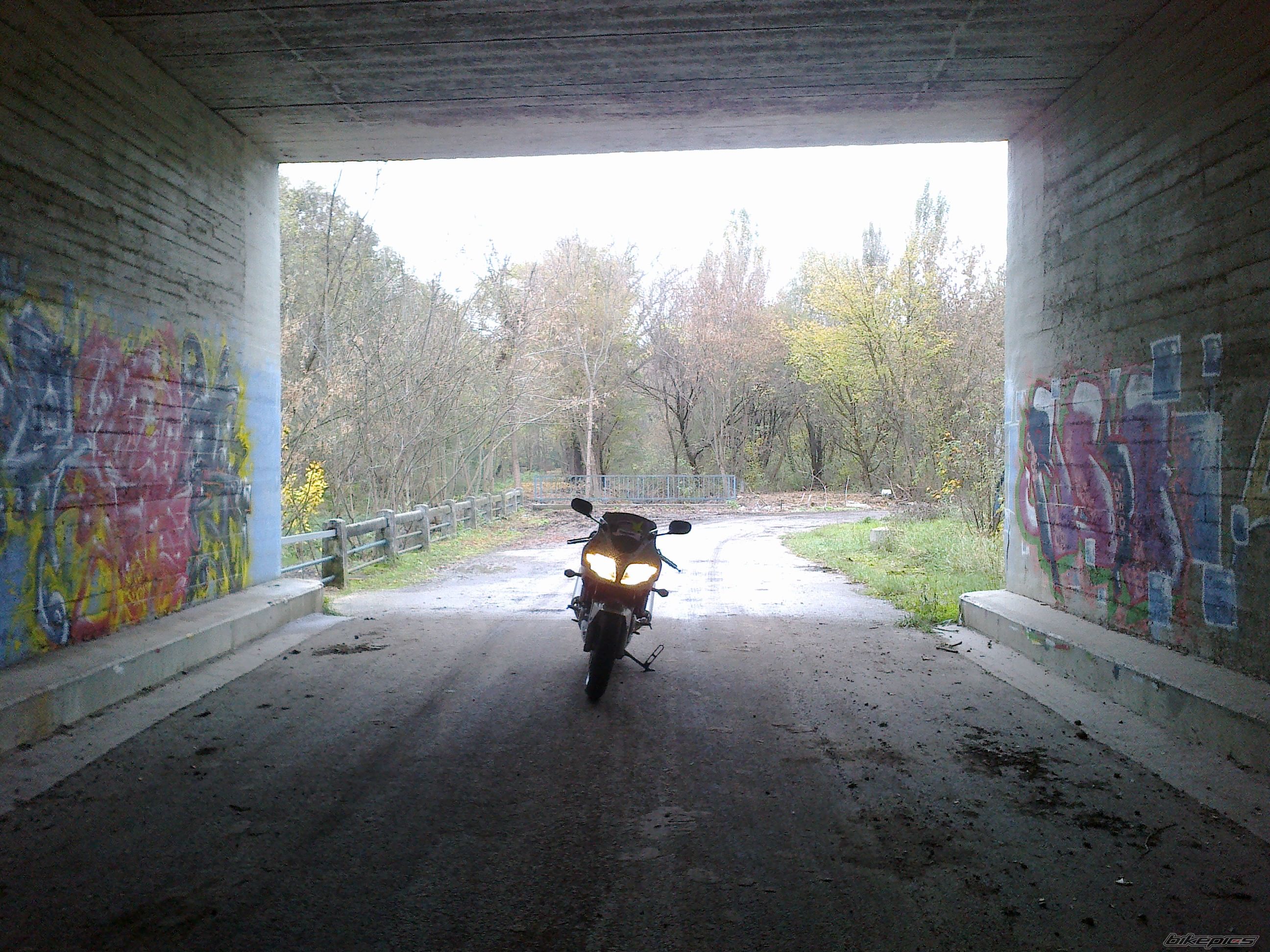 Photo 2498048