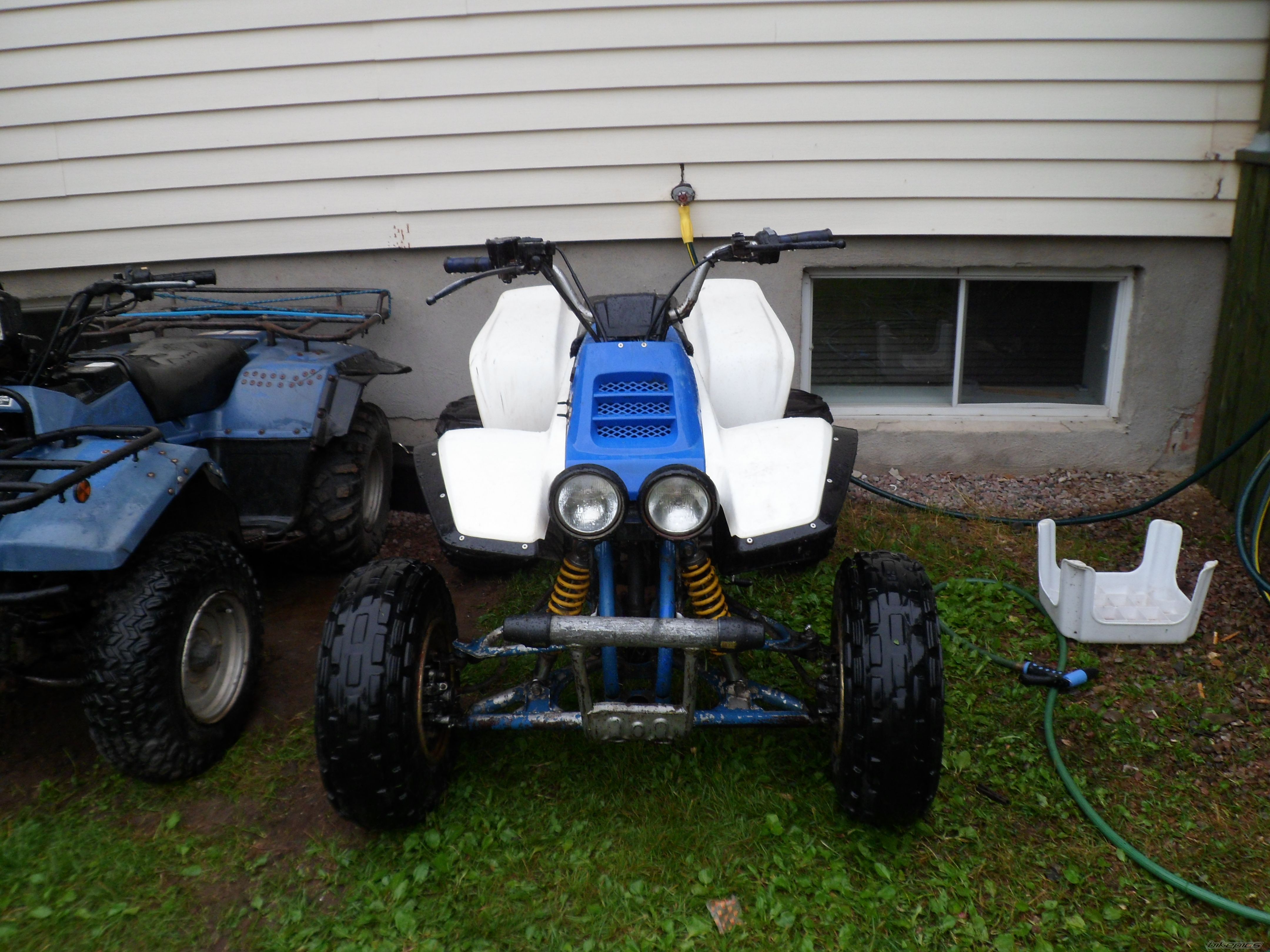 Photo 2498251