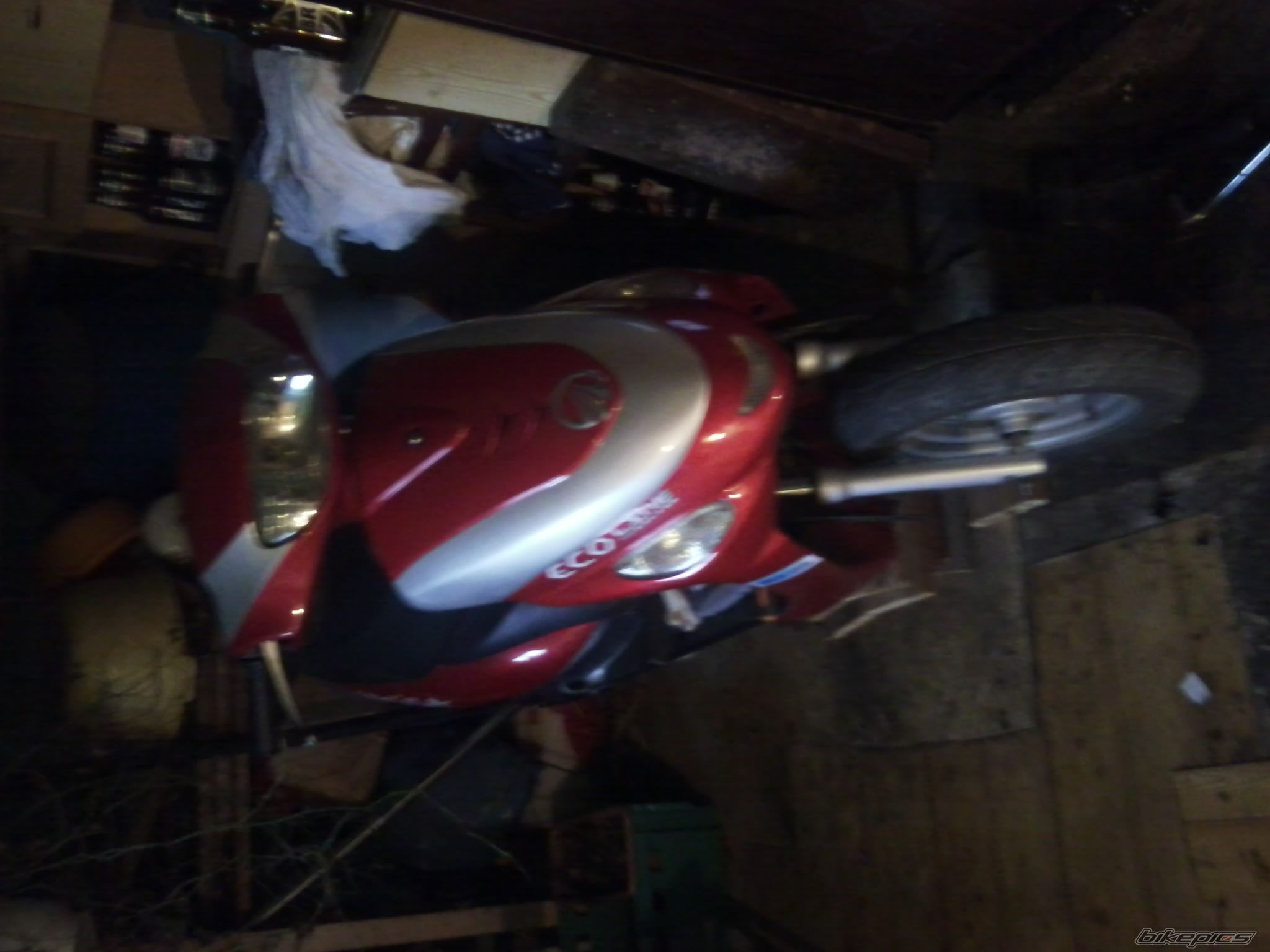 Photo 2498255