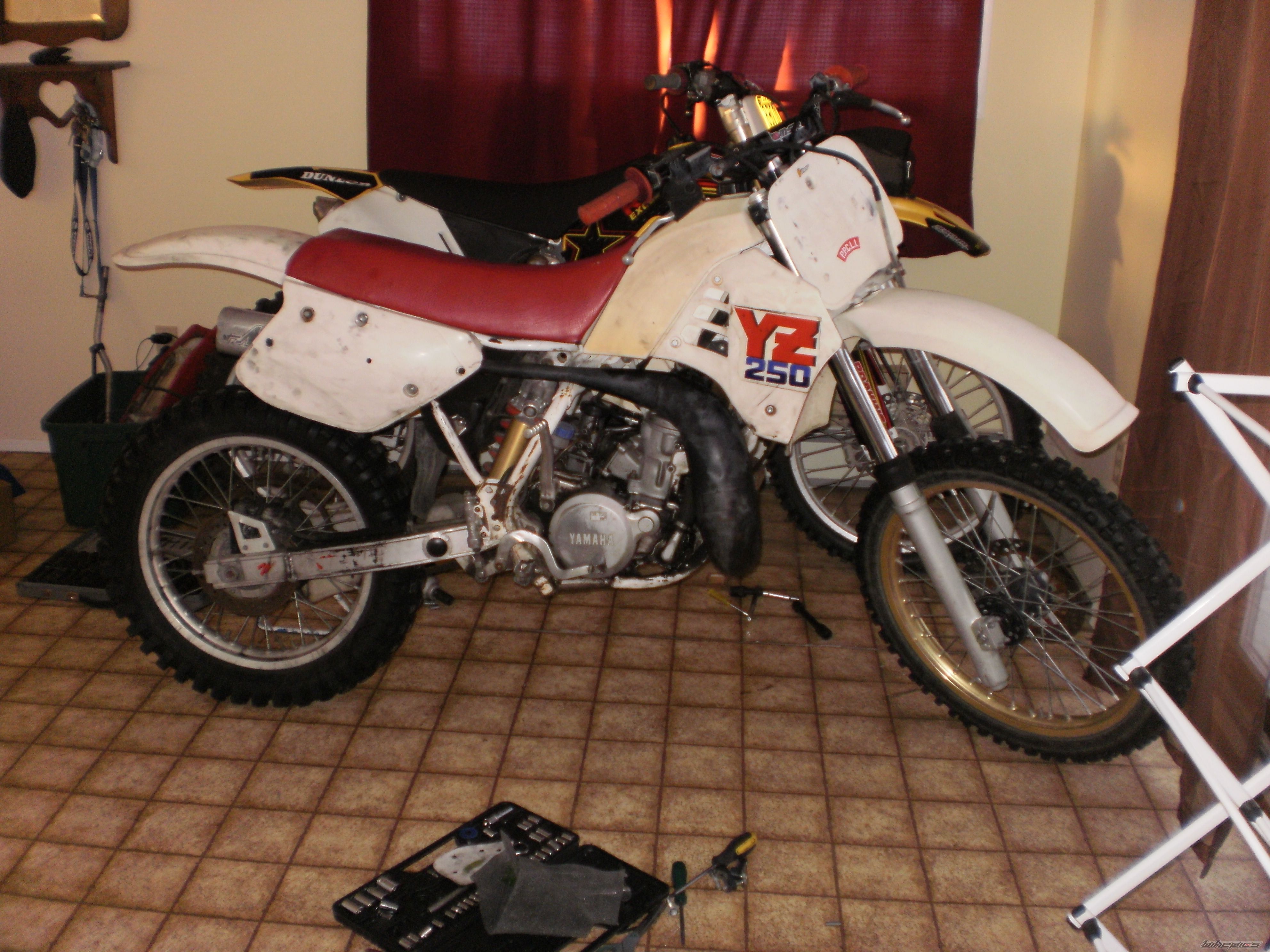 Photo 2498345