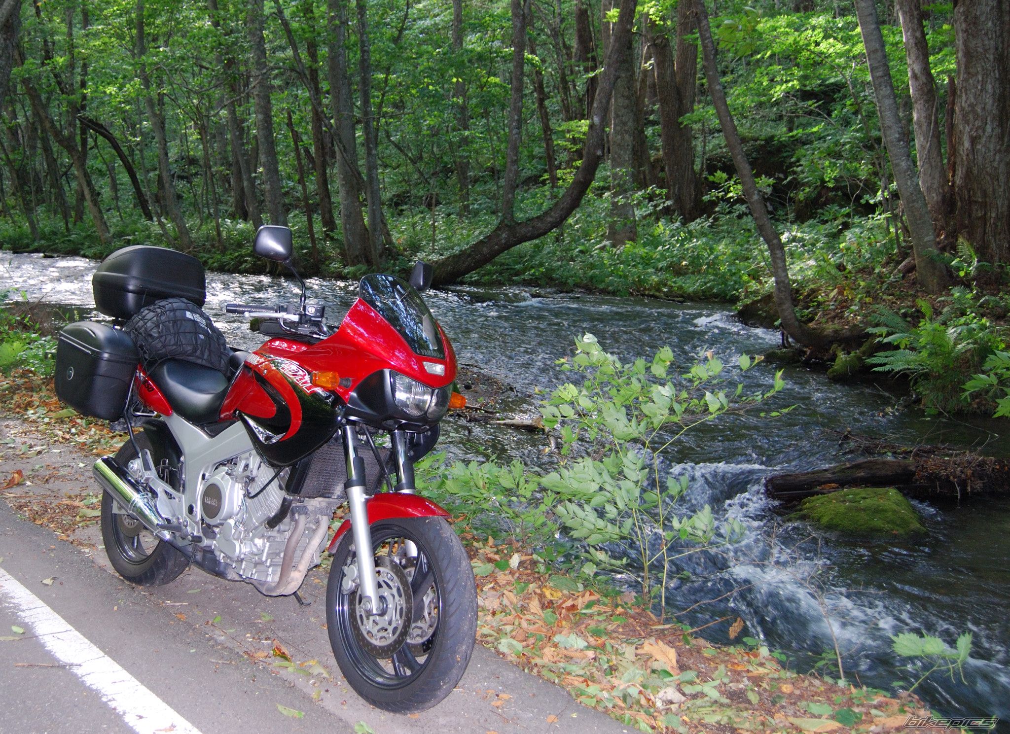 Photo 2498391