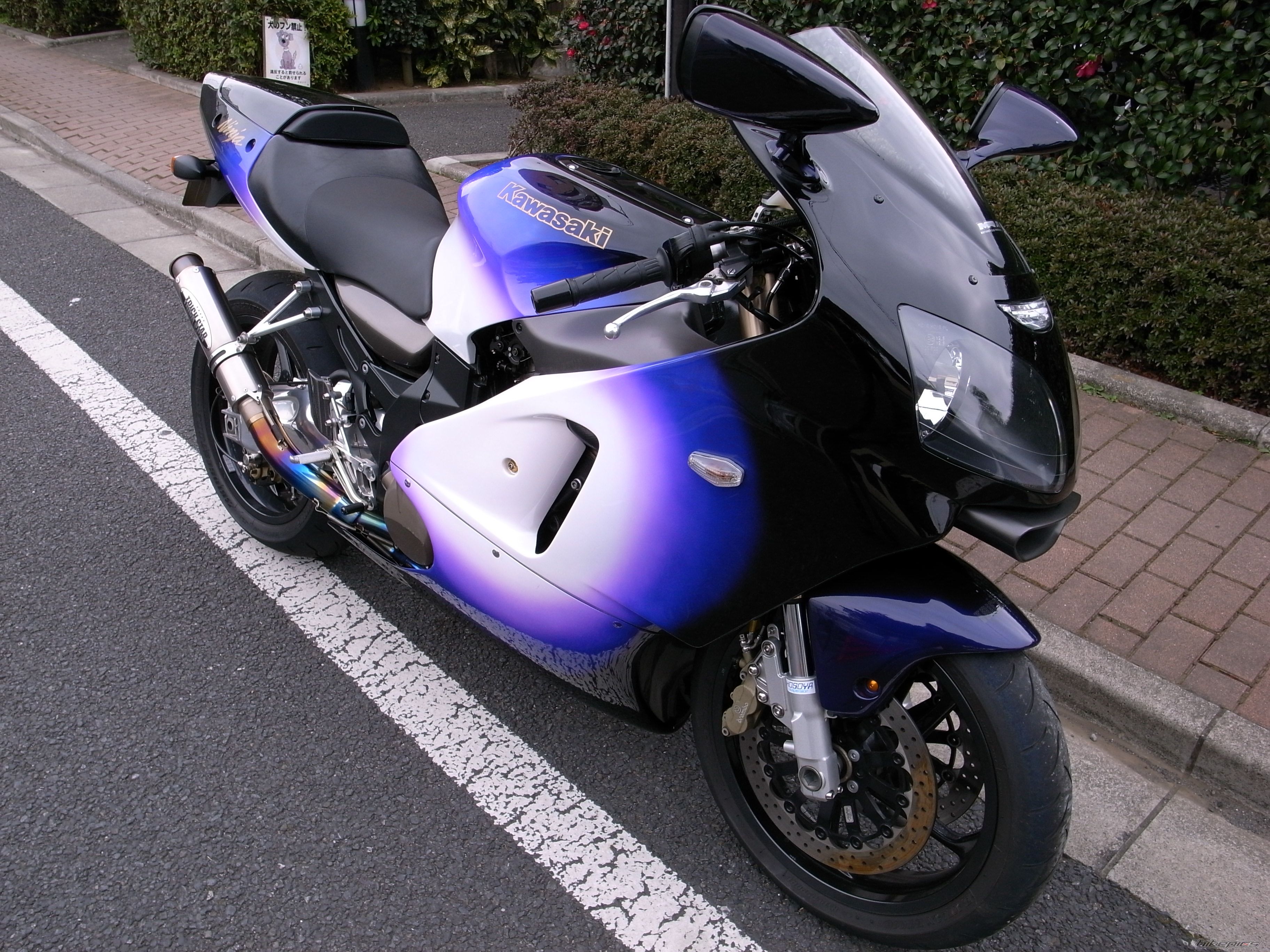 Photo 2498394