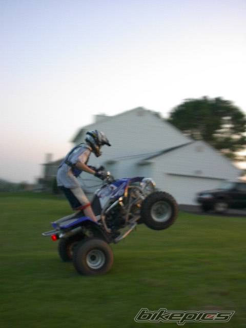 Photo 249843
