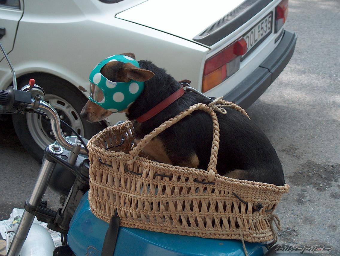 Bike Photo 249844
