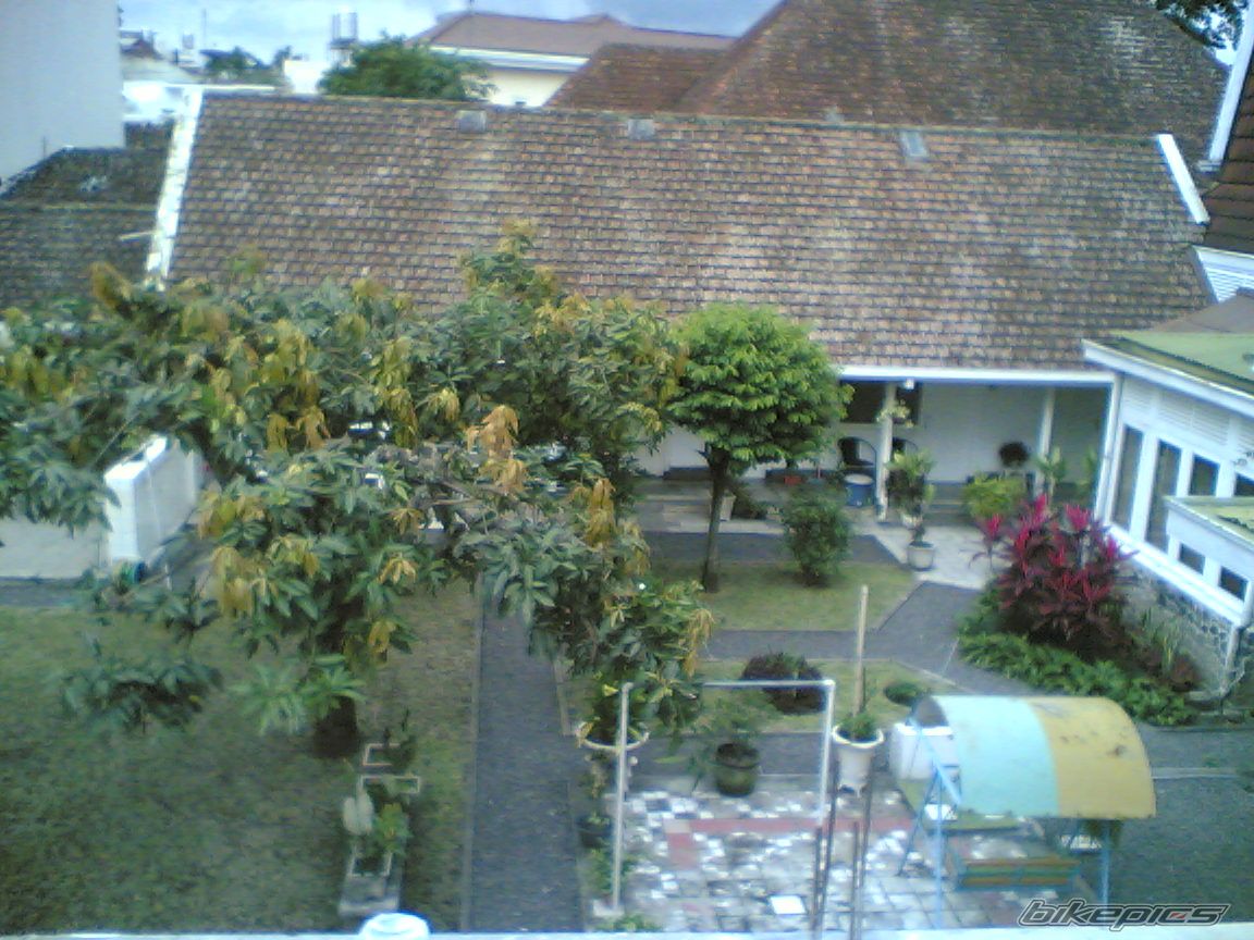 Photo 2498455
