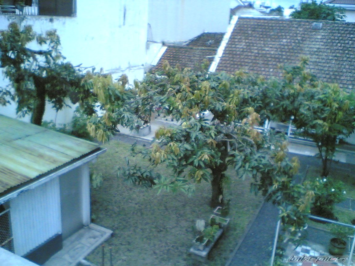 Photo 2498456