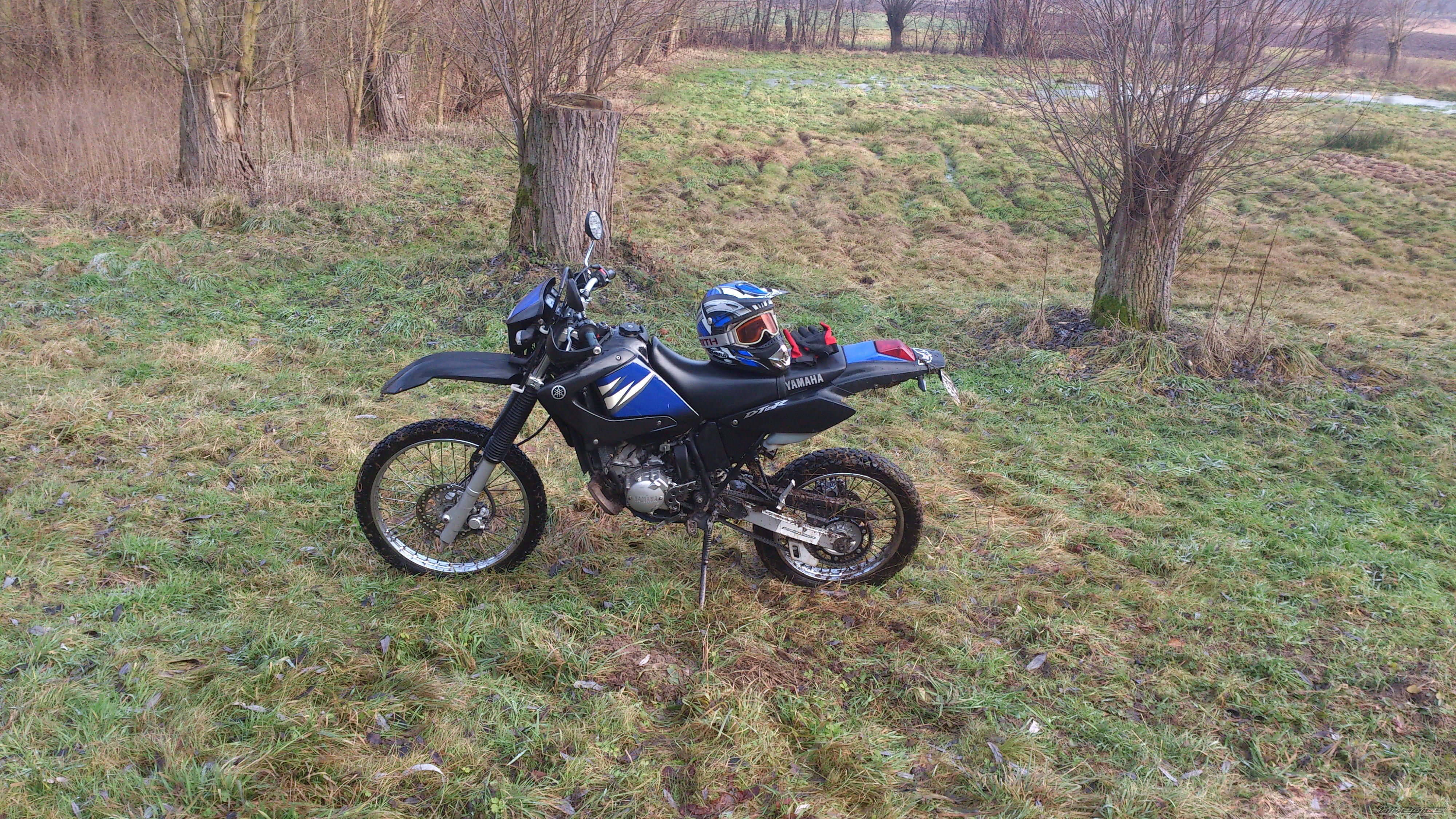 Photo 2498617