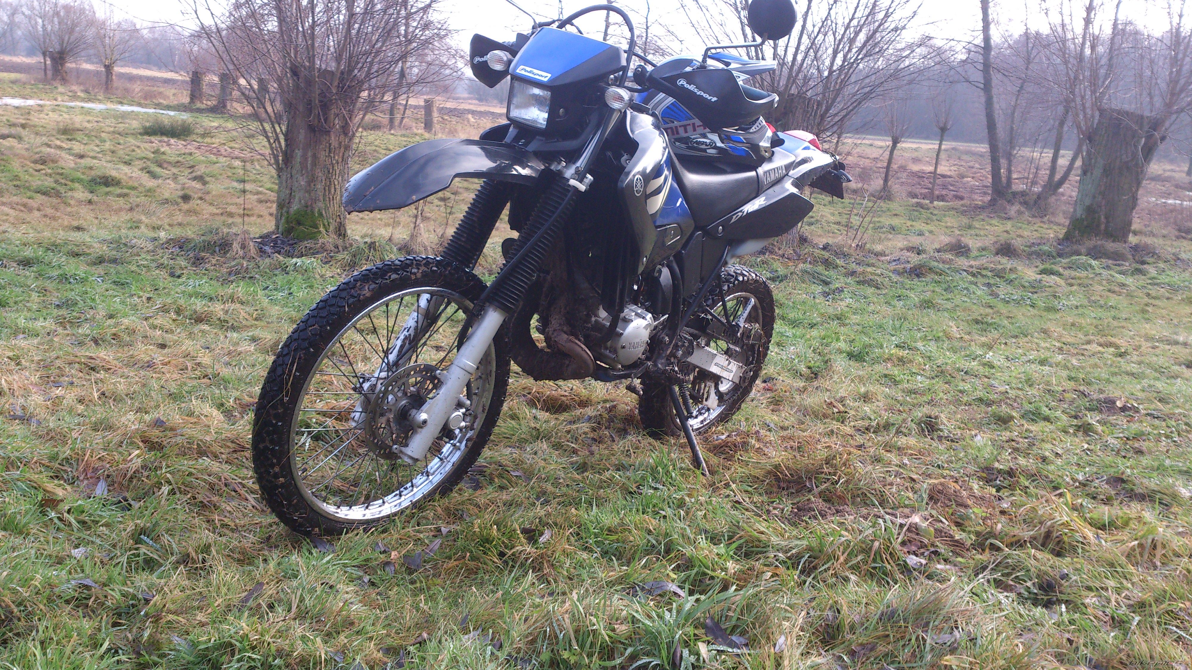 Photo 2498618