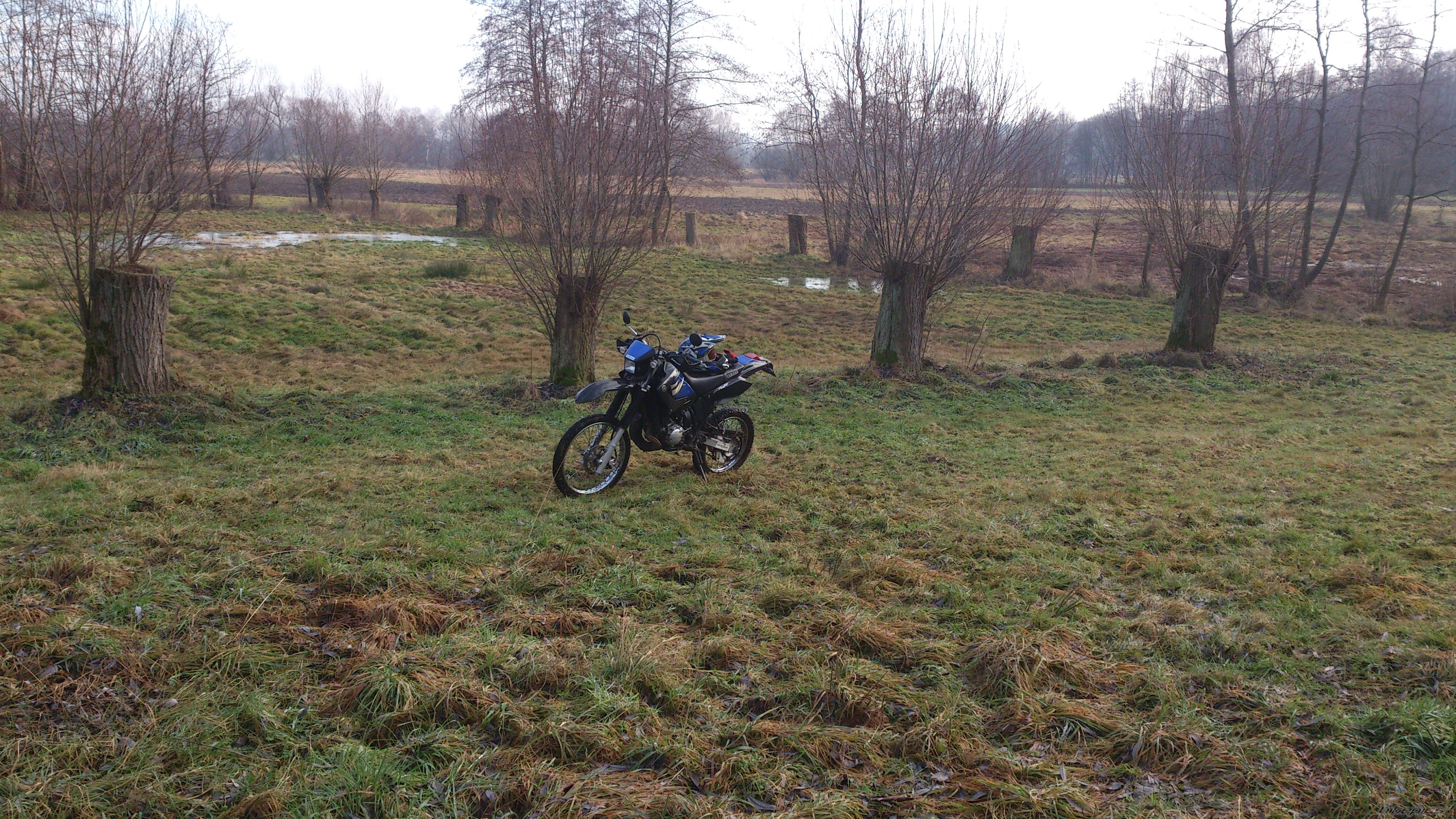 Photo 2498621