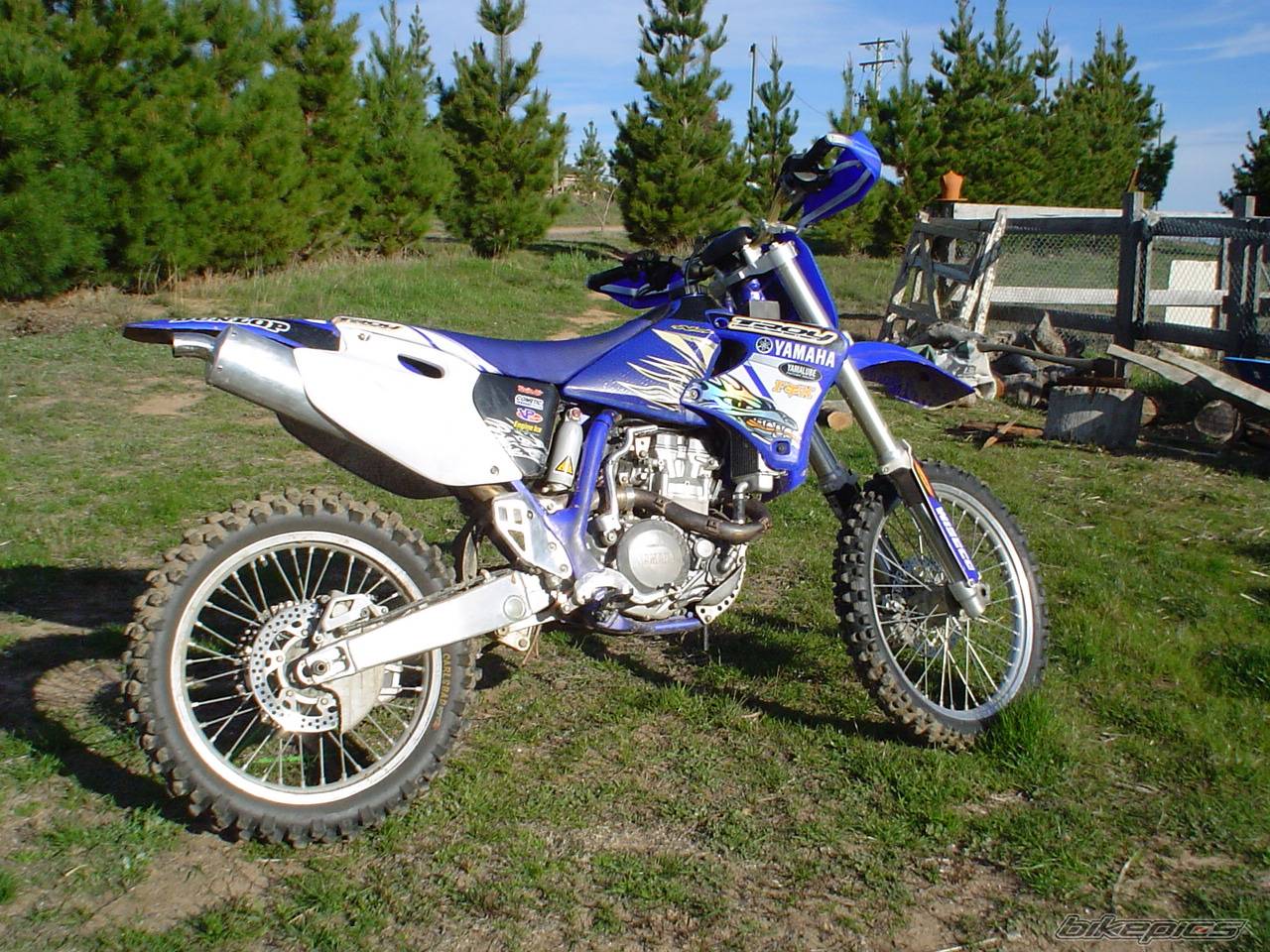 Photo 249868