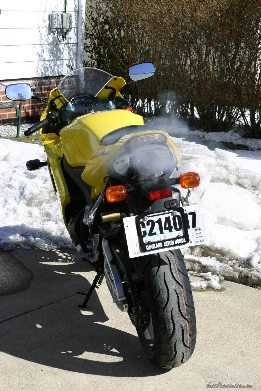 Photo 249869