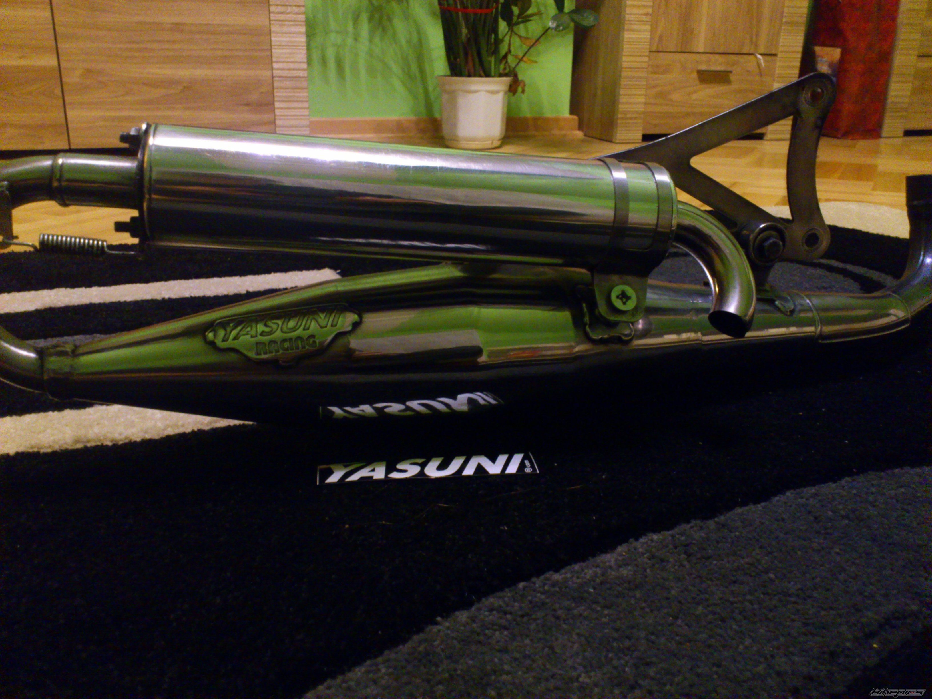 Photo 2498784