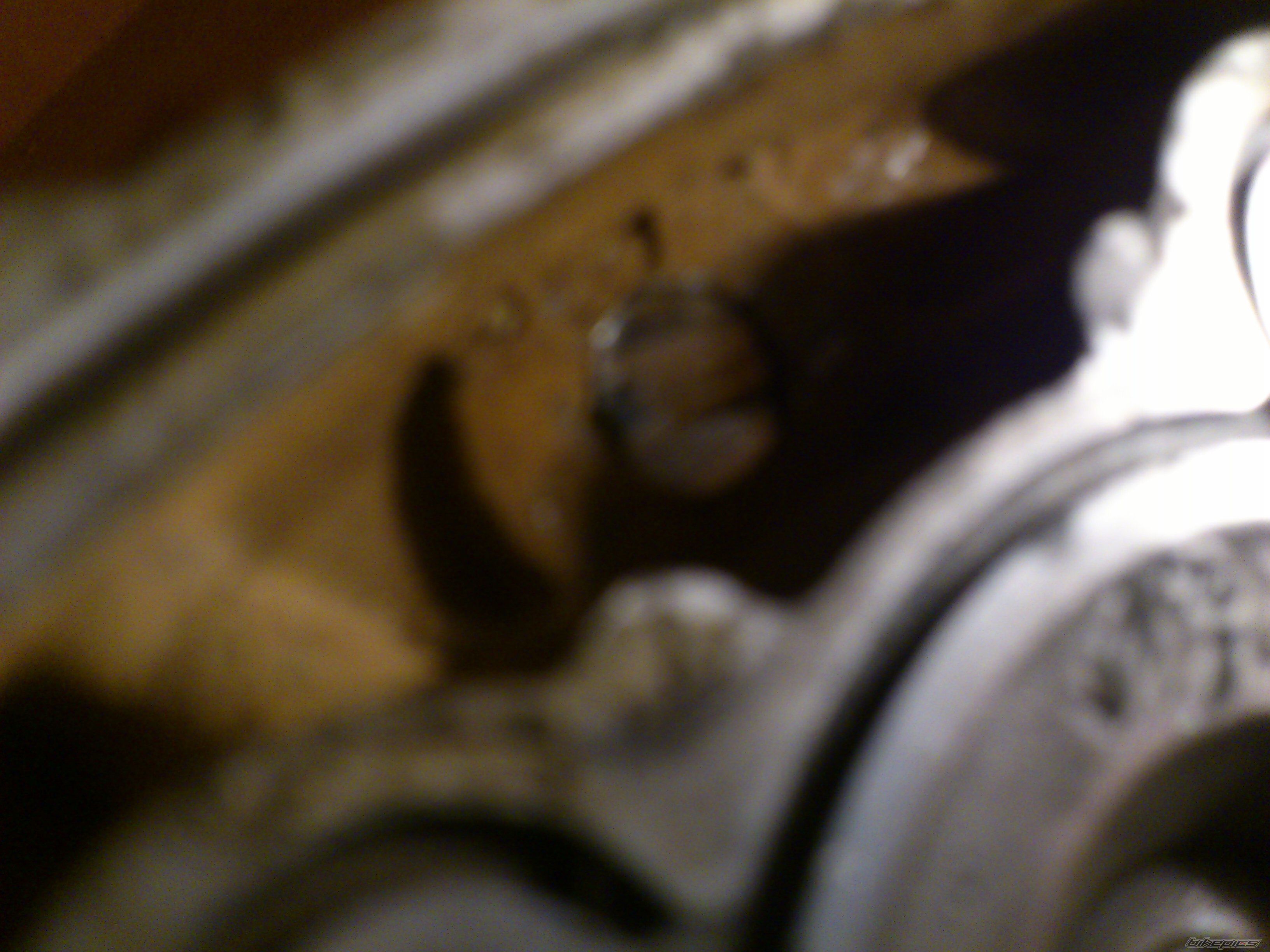 Photo 2498790