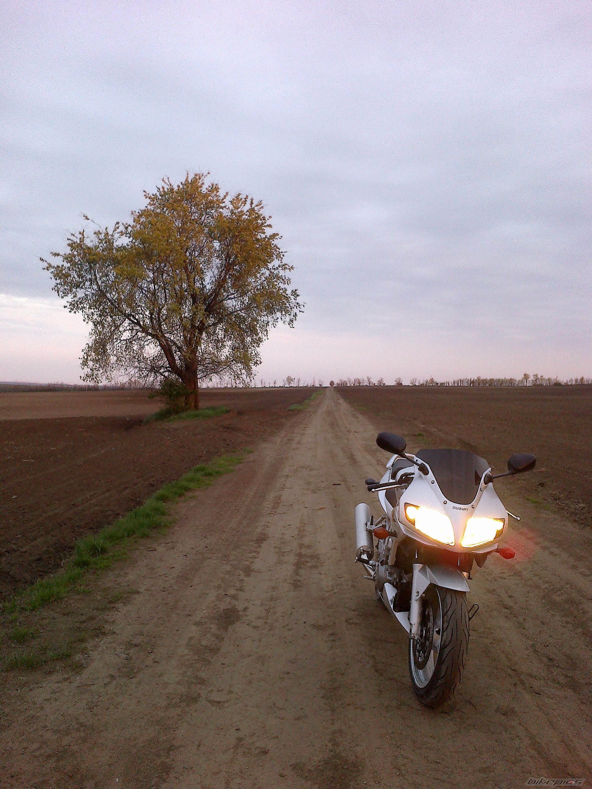 Photo 2498855