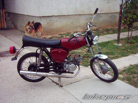 Photo 249893