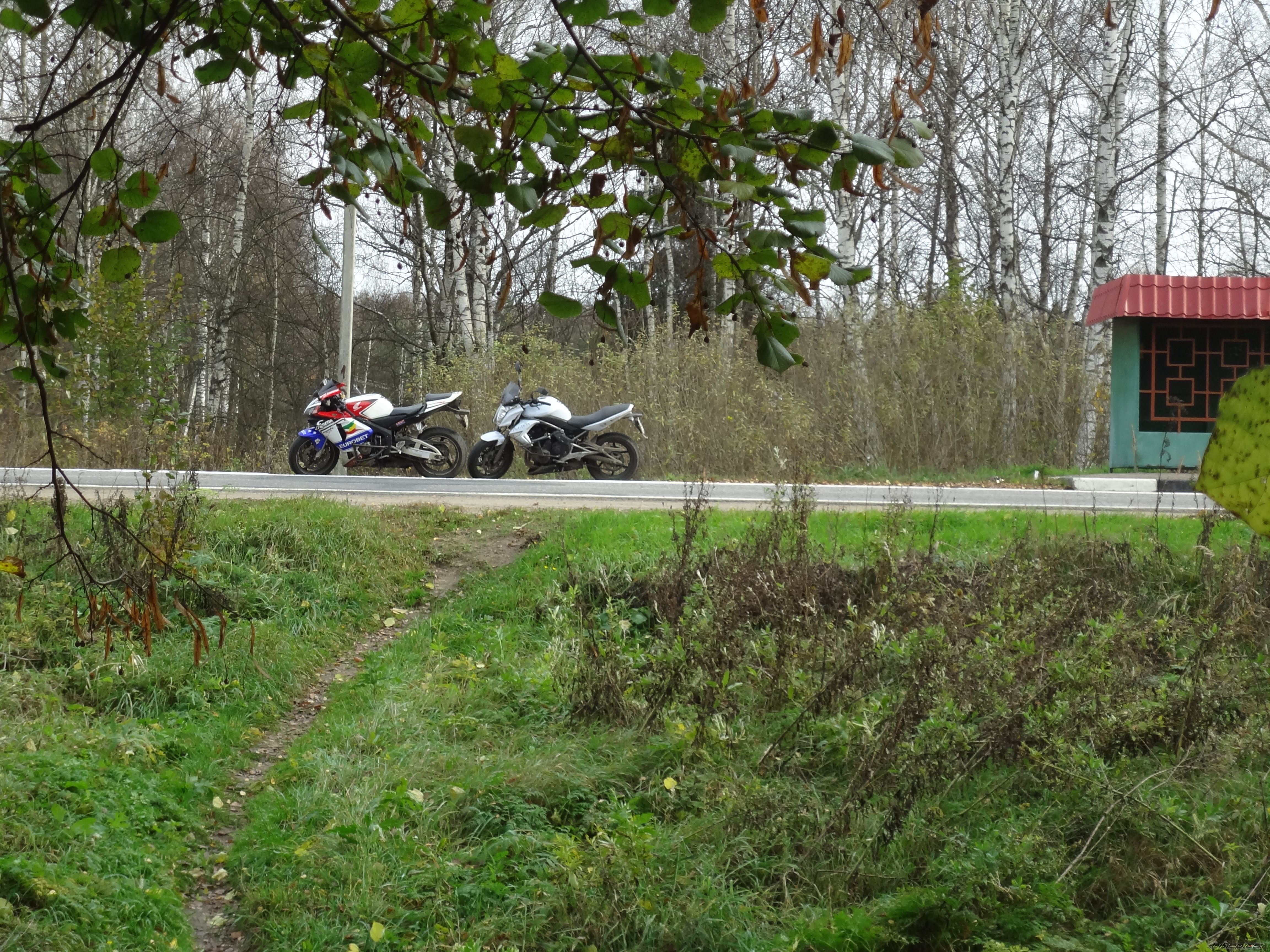 Photo 2499034