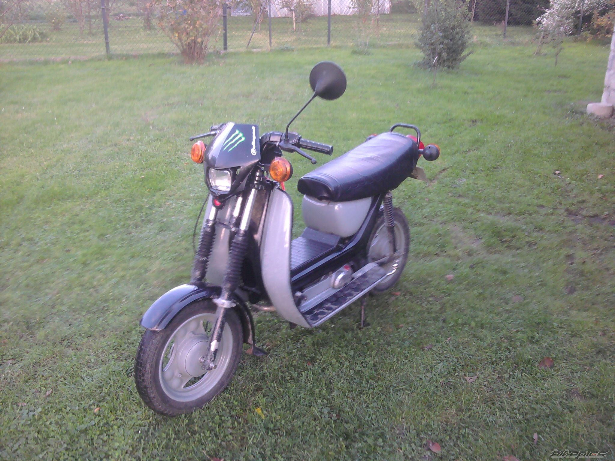 Photo 2499103