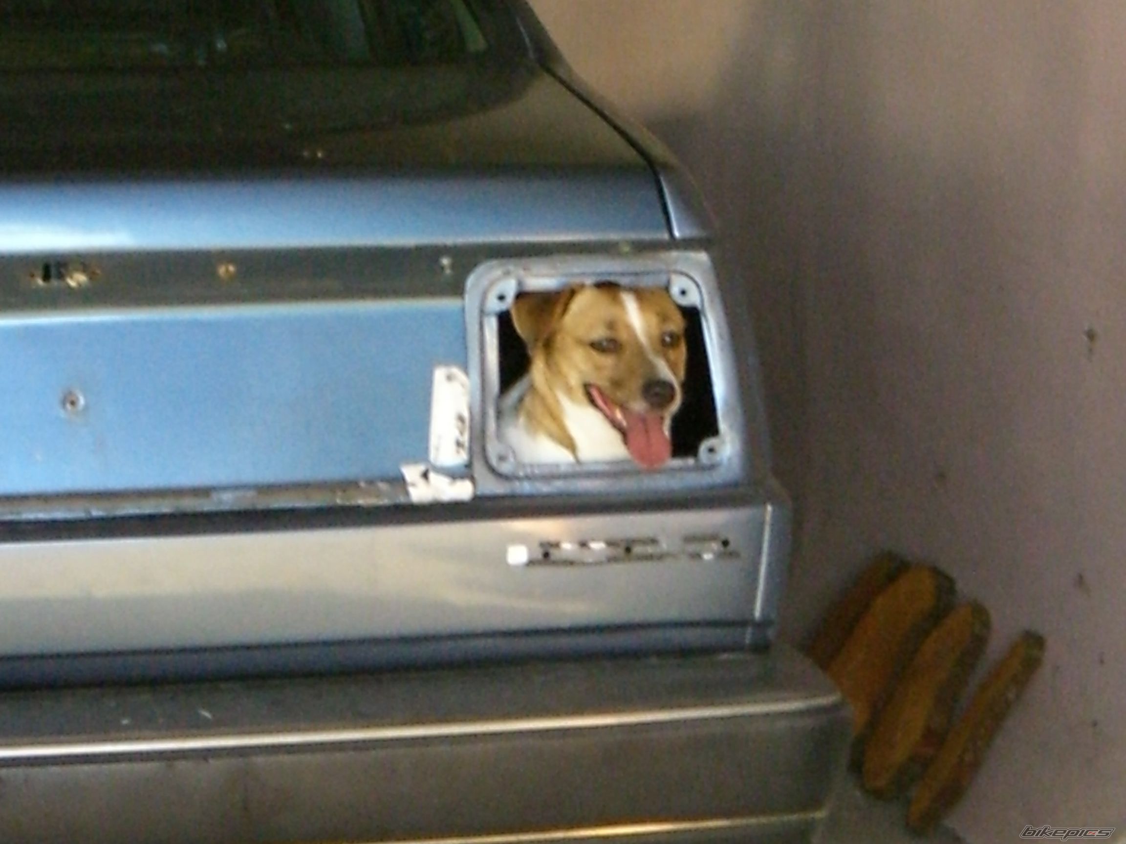 Photo 2499119