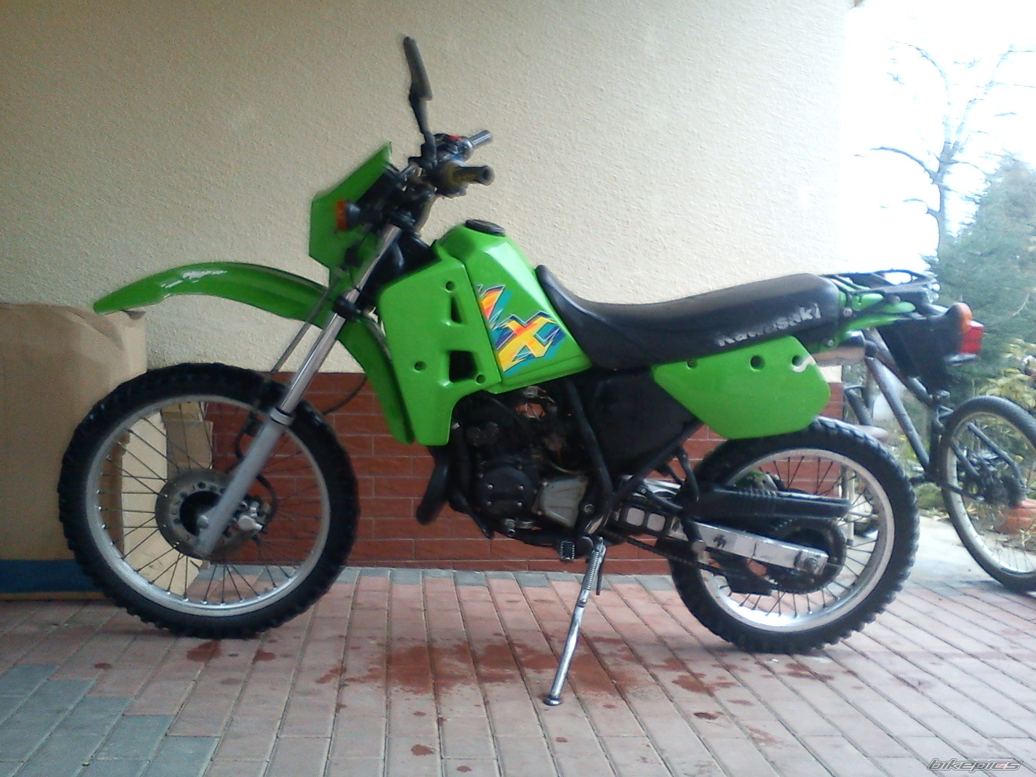 Bike Photo 2499217