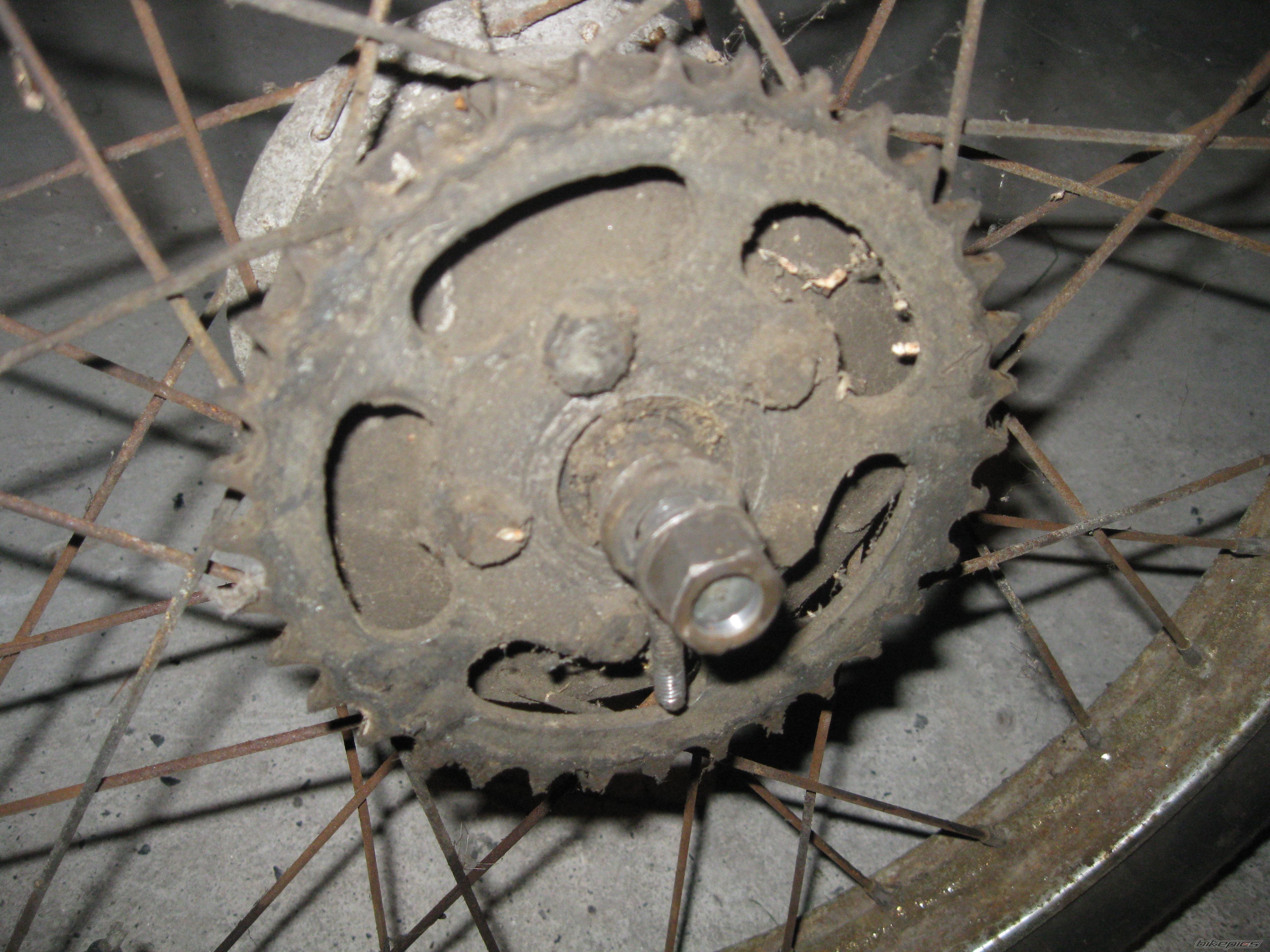 Photo 2499223