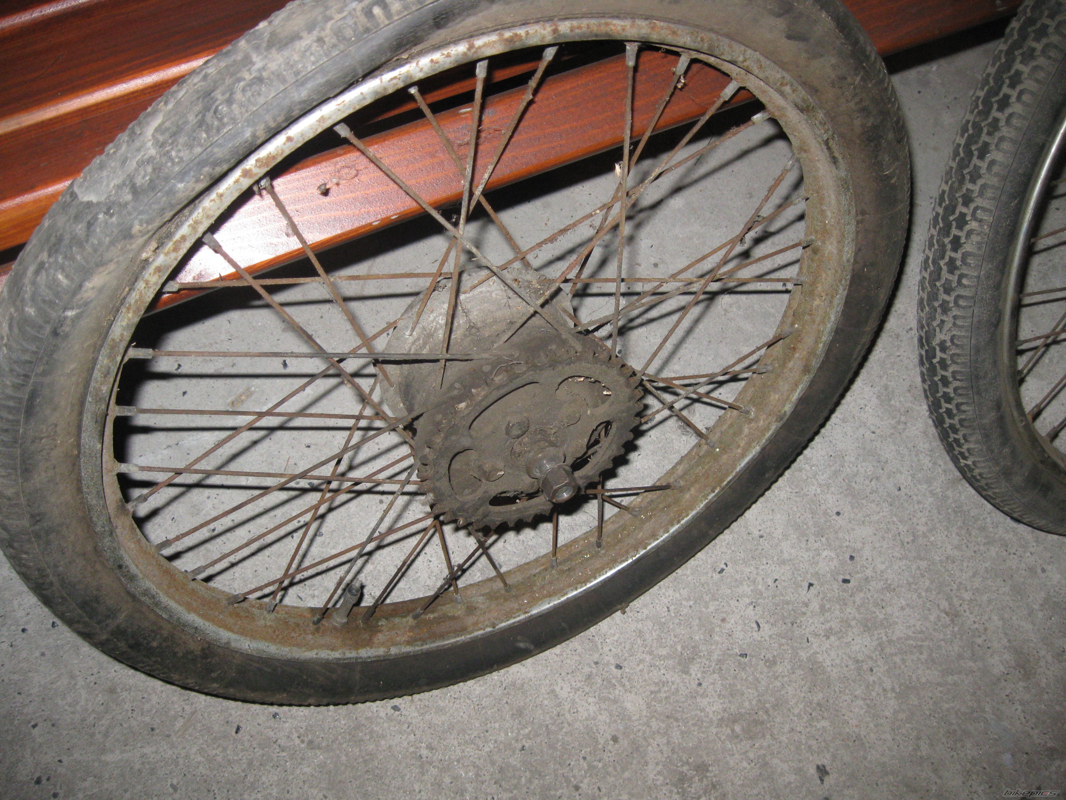 Photo 2499229