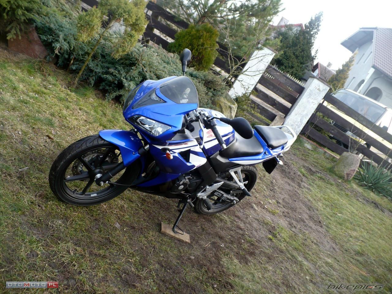 Photo 2499288