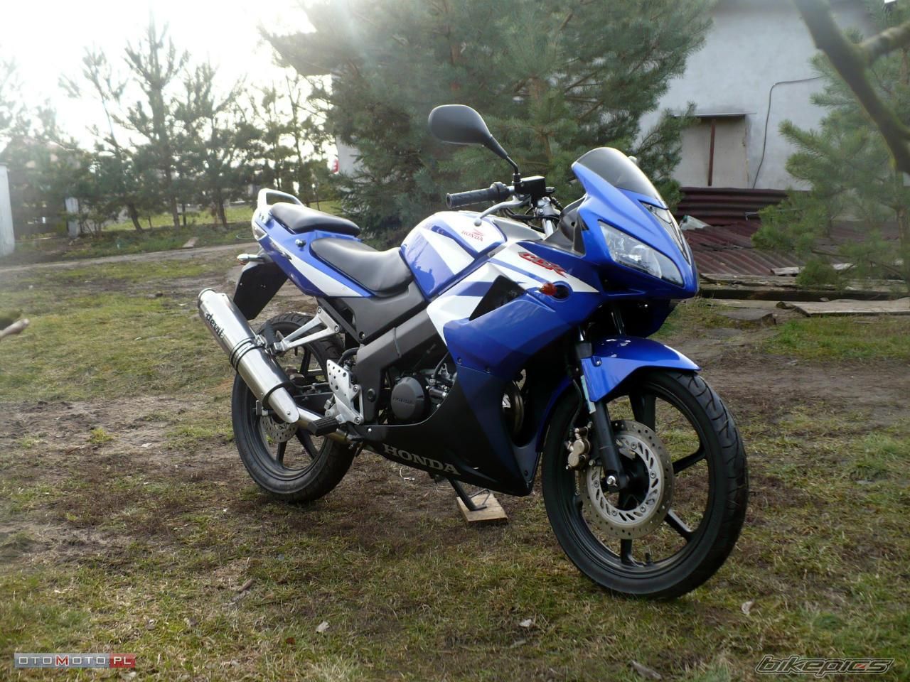 Photo 2499290