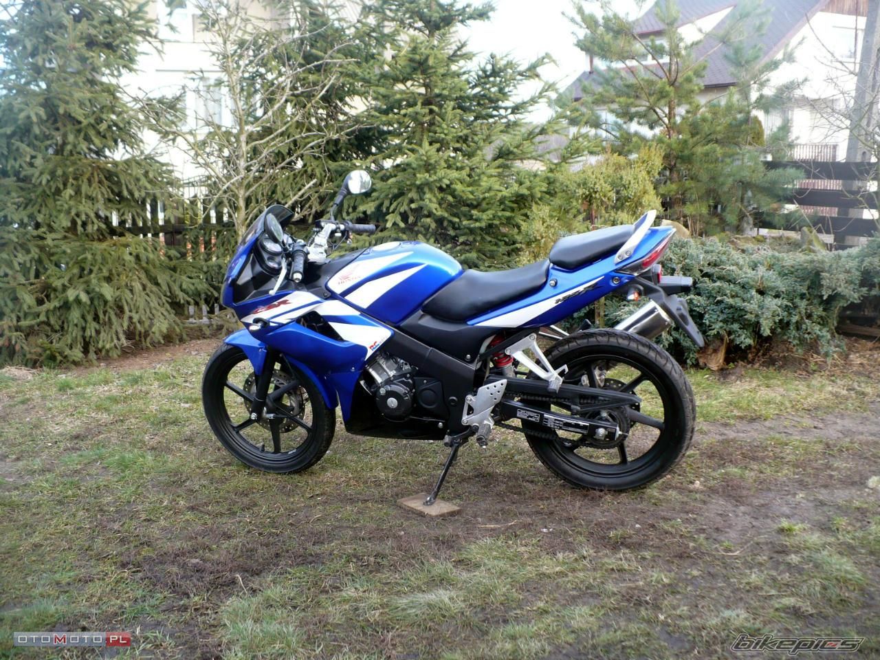 Photo 2499291