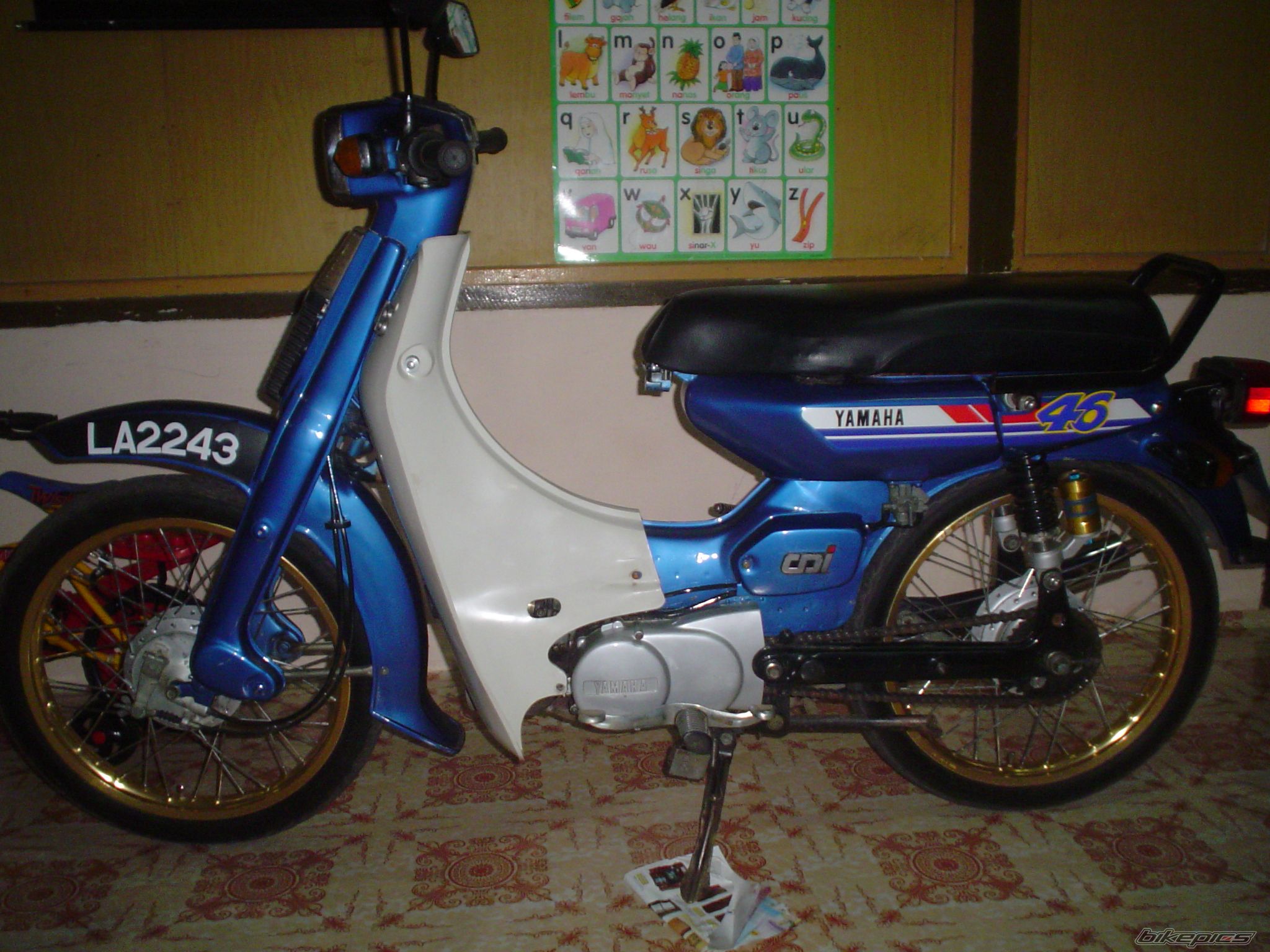 Photo 2499364
