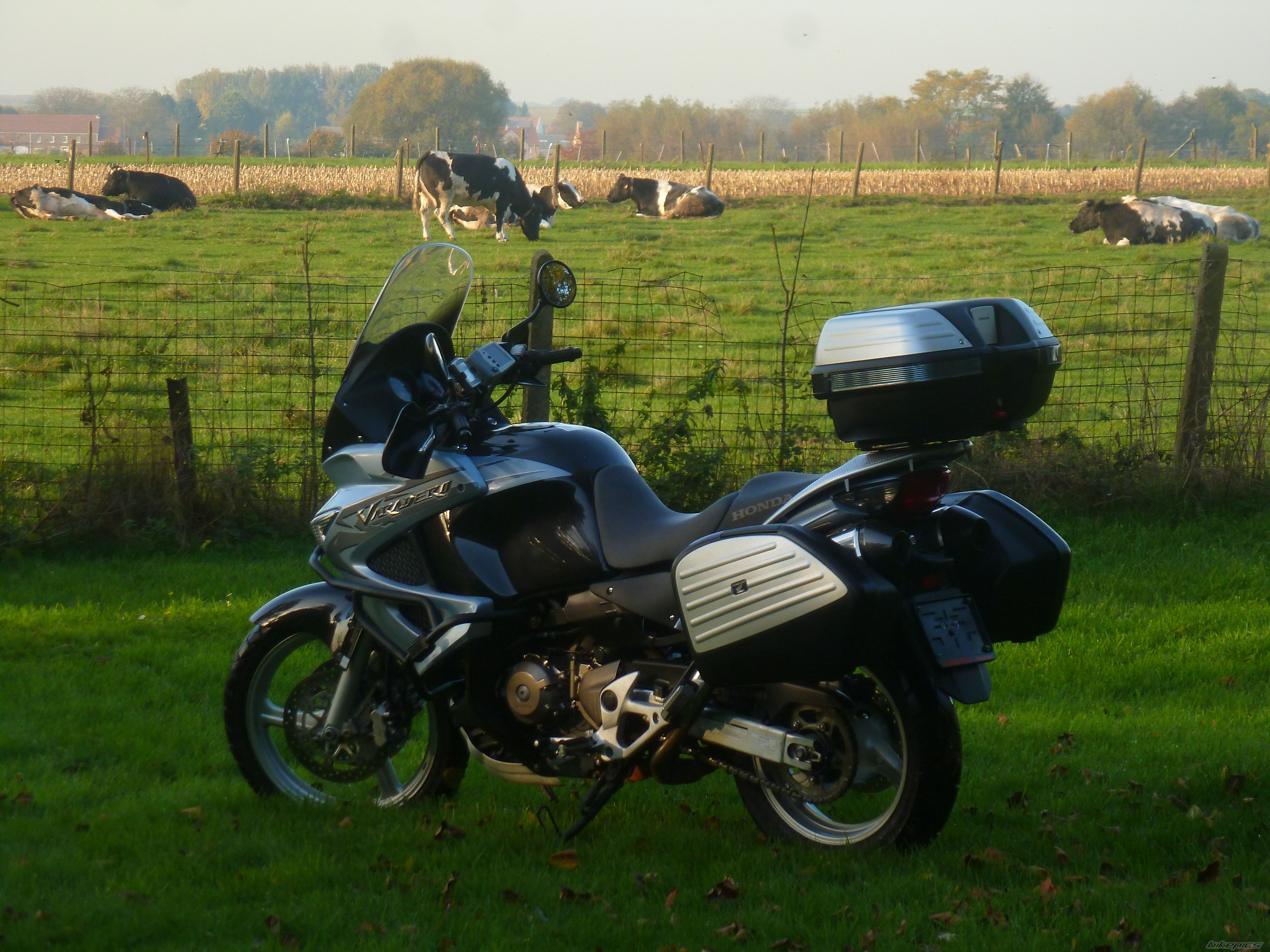 Photo 2499374