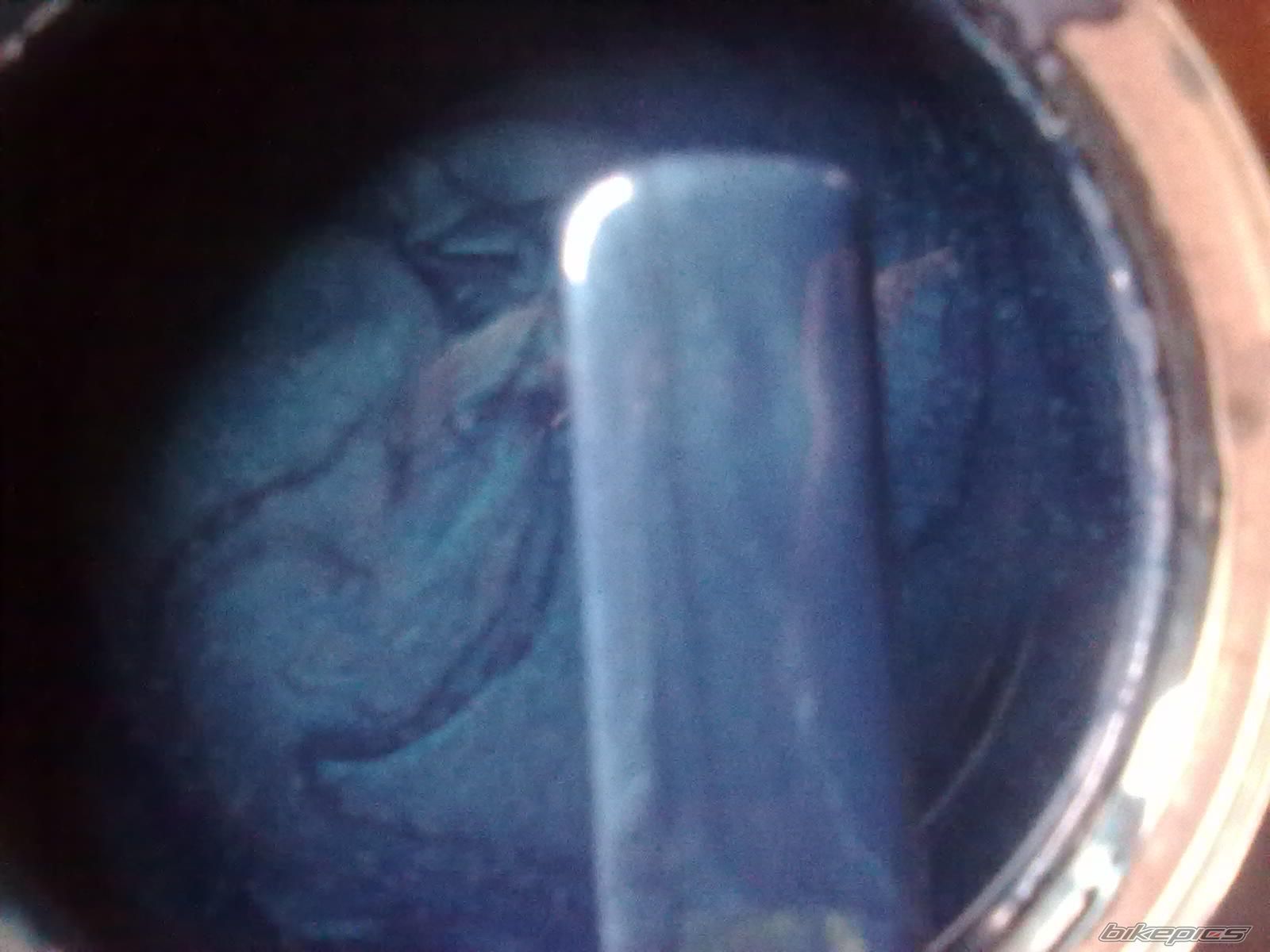 Photo 2499494