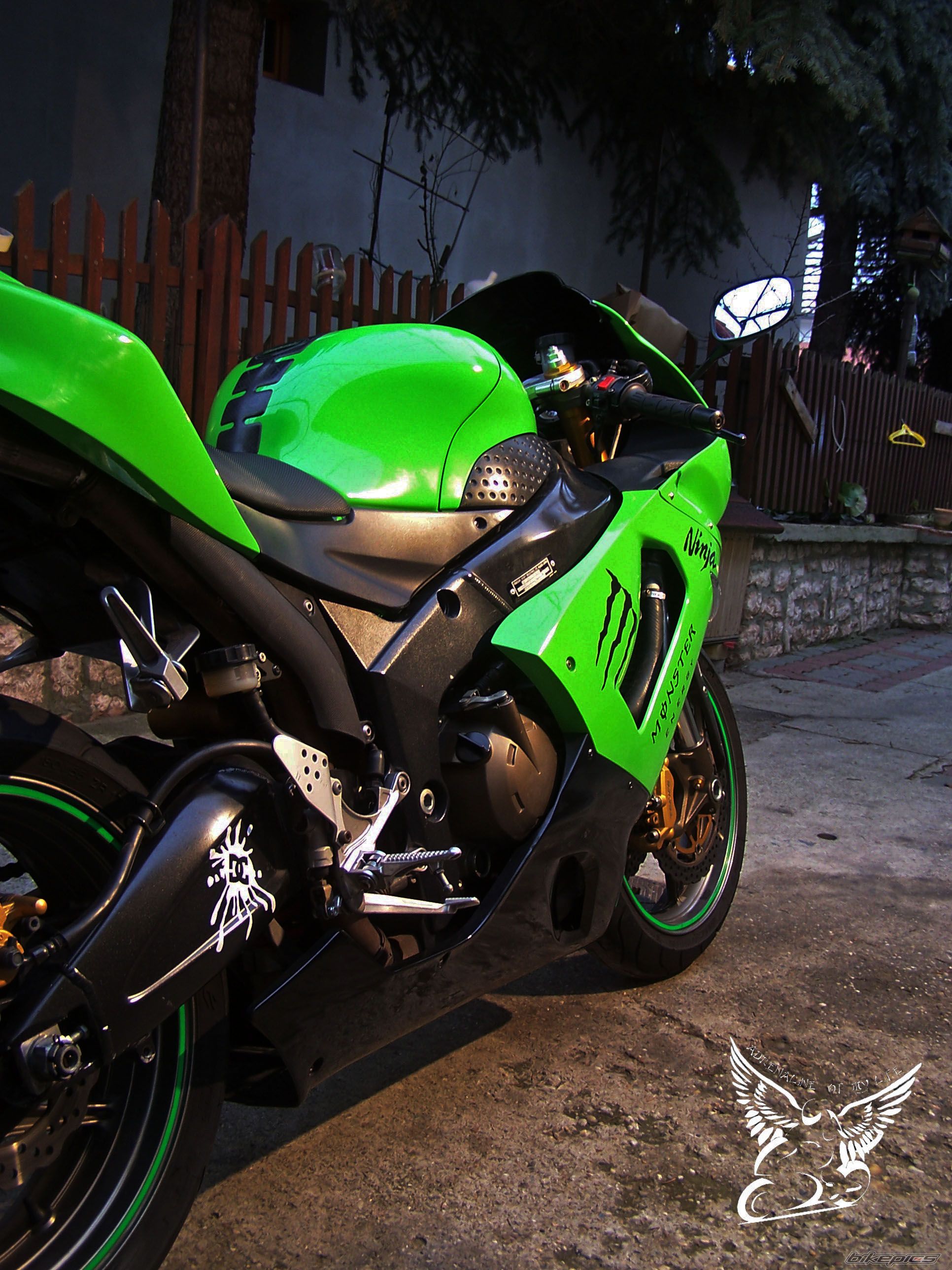 Bike Photo 2499532
