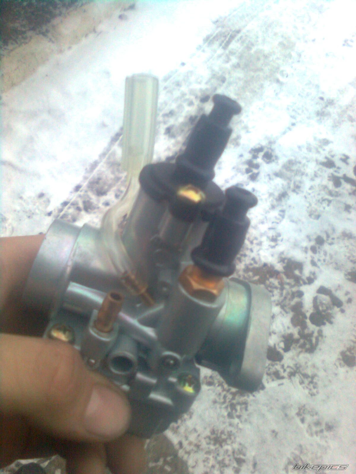 Photo 2499571